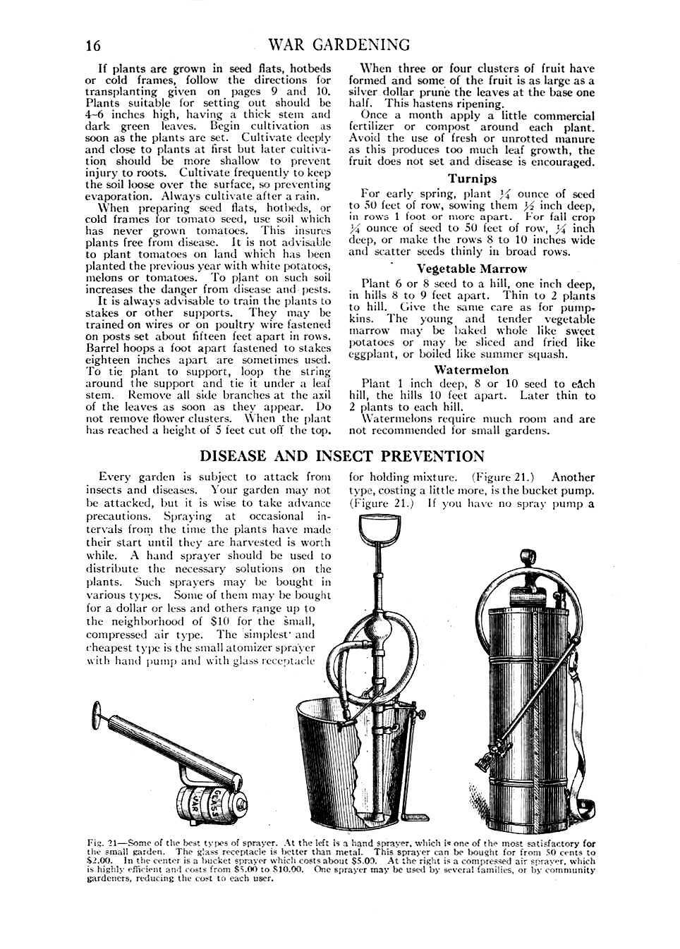 1919 Victory Edition War Gardening And Home Storage of Vegetables