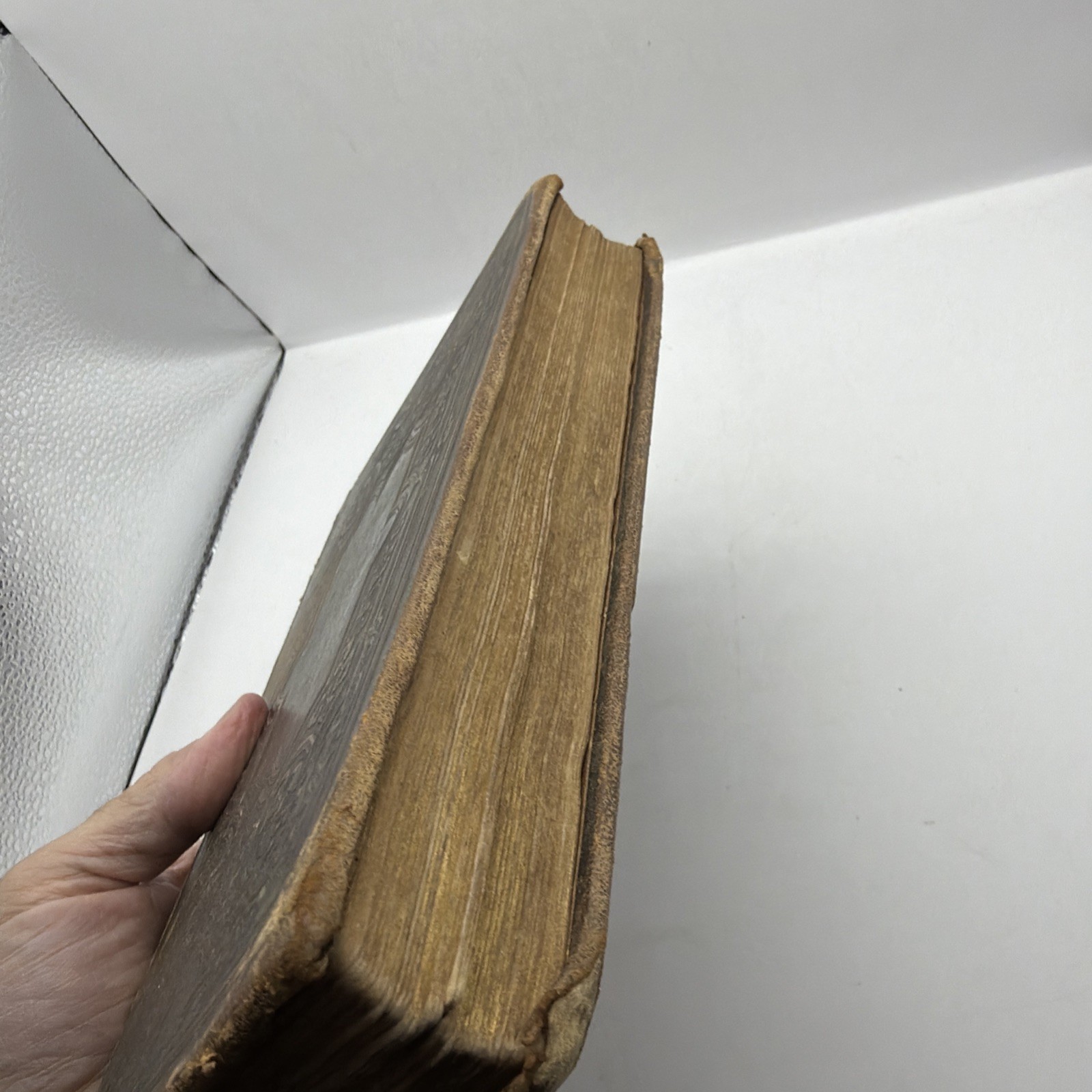 1878 New Testament & Book of Psalms American Bible Society