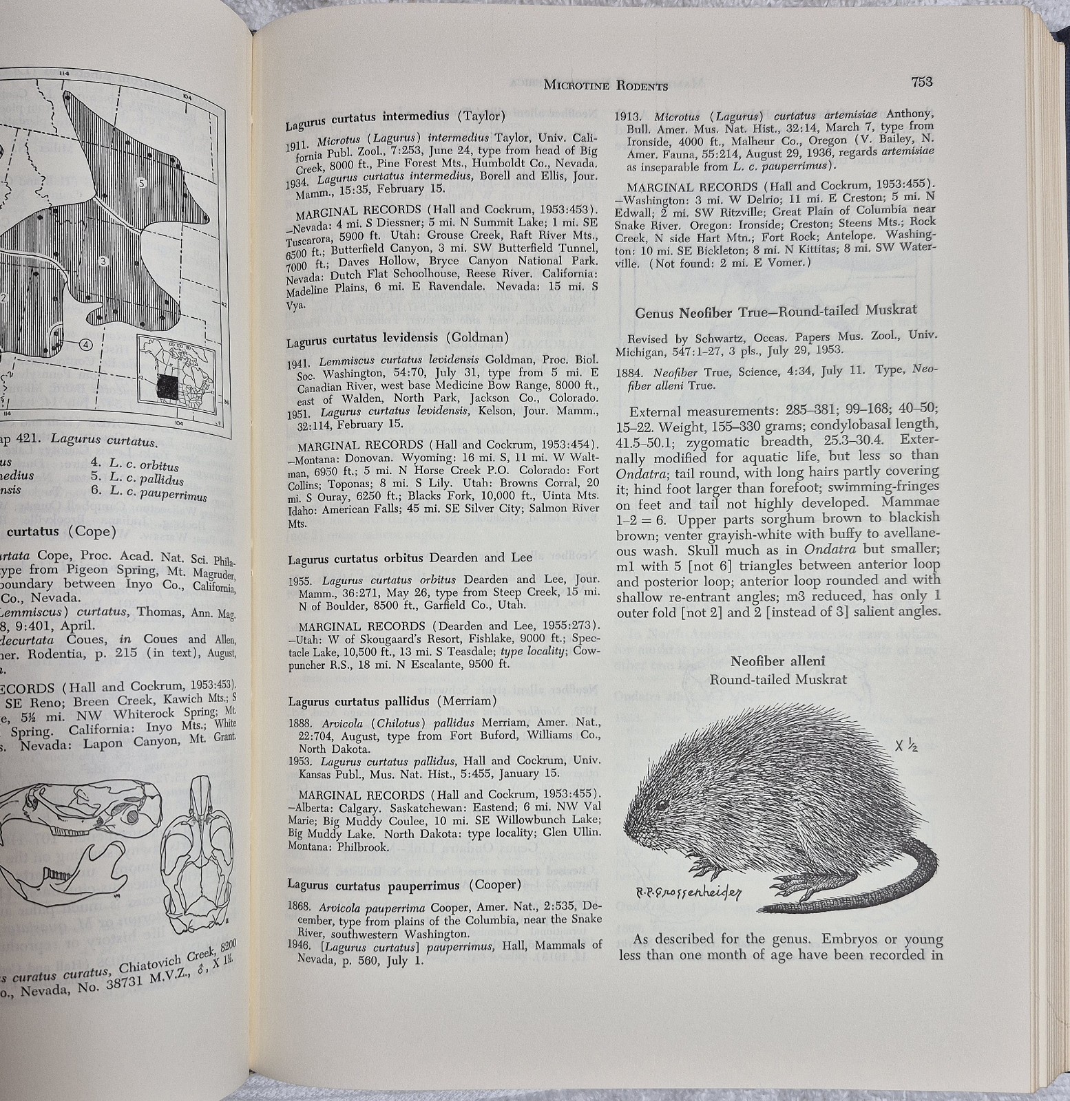 The Mammals of North America (Hall & Kelson • 2‑Volume Set)