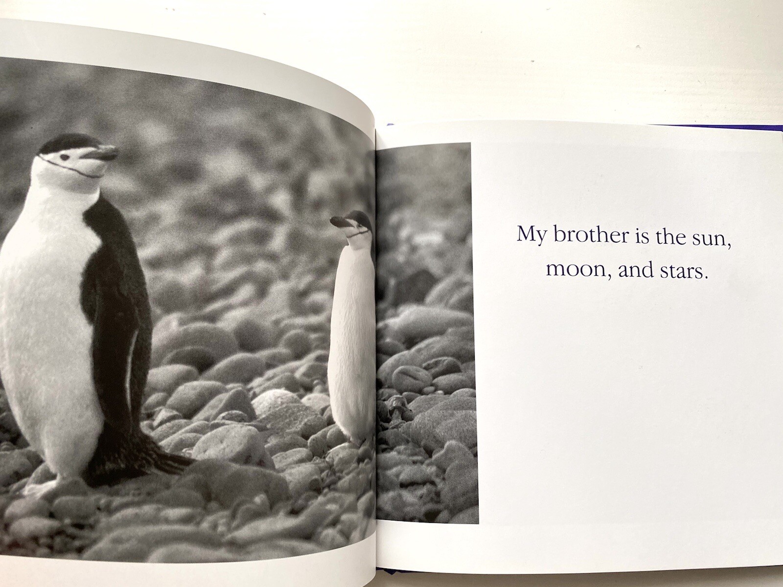 Book” Yo Bro!: My Brother, My Friend” by Tom Burns size 6.5×6.5in.