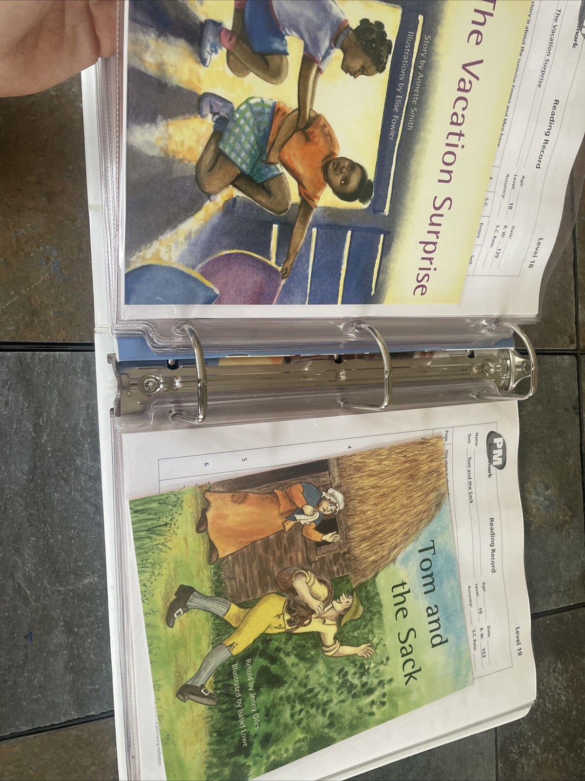 PM Benchmark Kit: A Reading Resource Assessment For Grades K-5 [Paperback] Rigby
