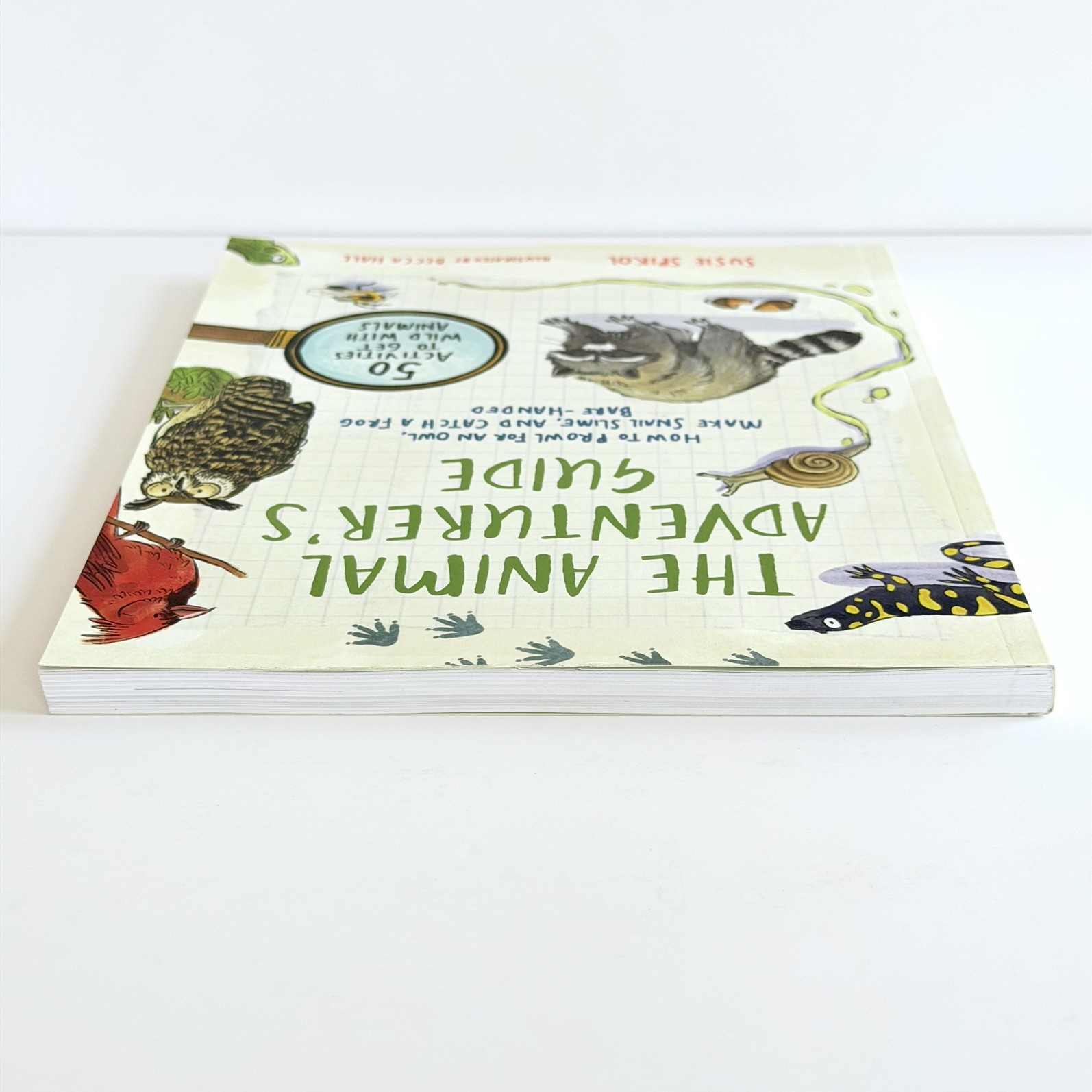 The Animal Adventurers Guide Susie Spikol Kids Activity Paperback Book