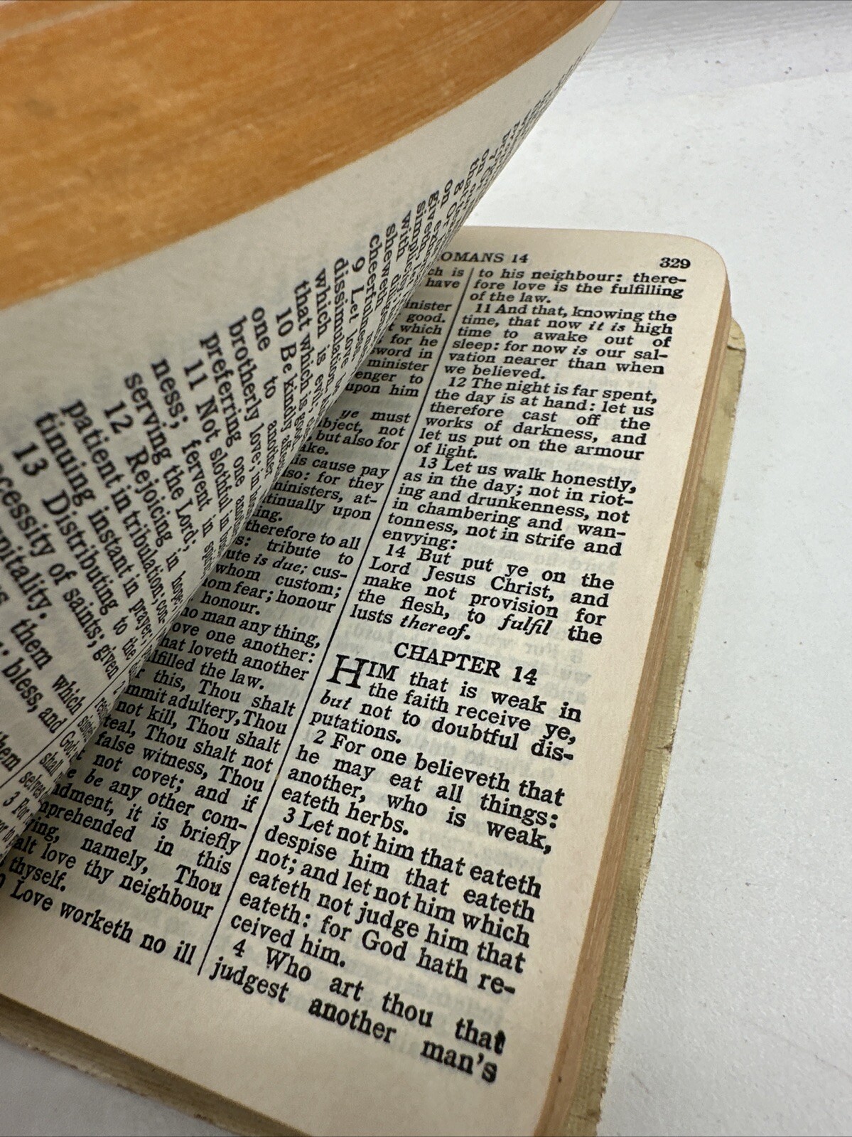 american bible society new testament