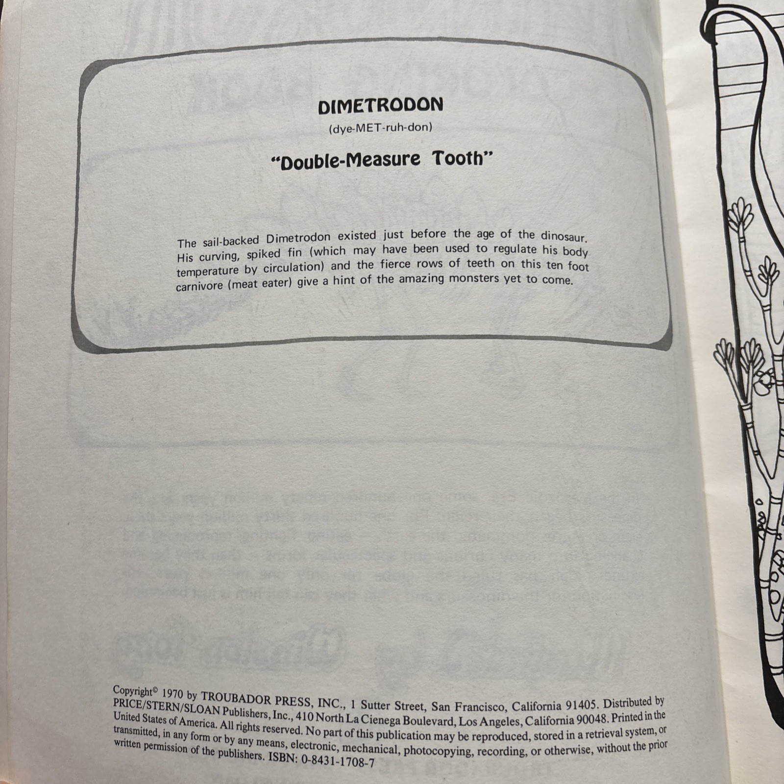 Dinosaur Coloring Book Troubador Press 1970 Retro Unused Oversized
