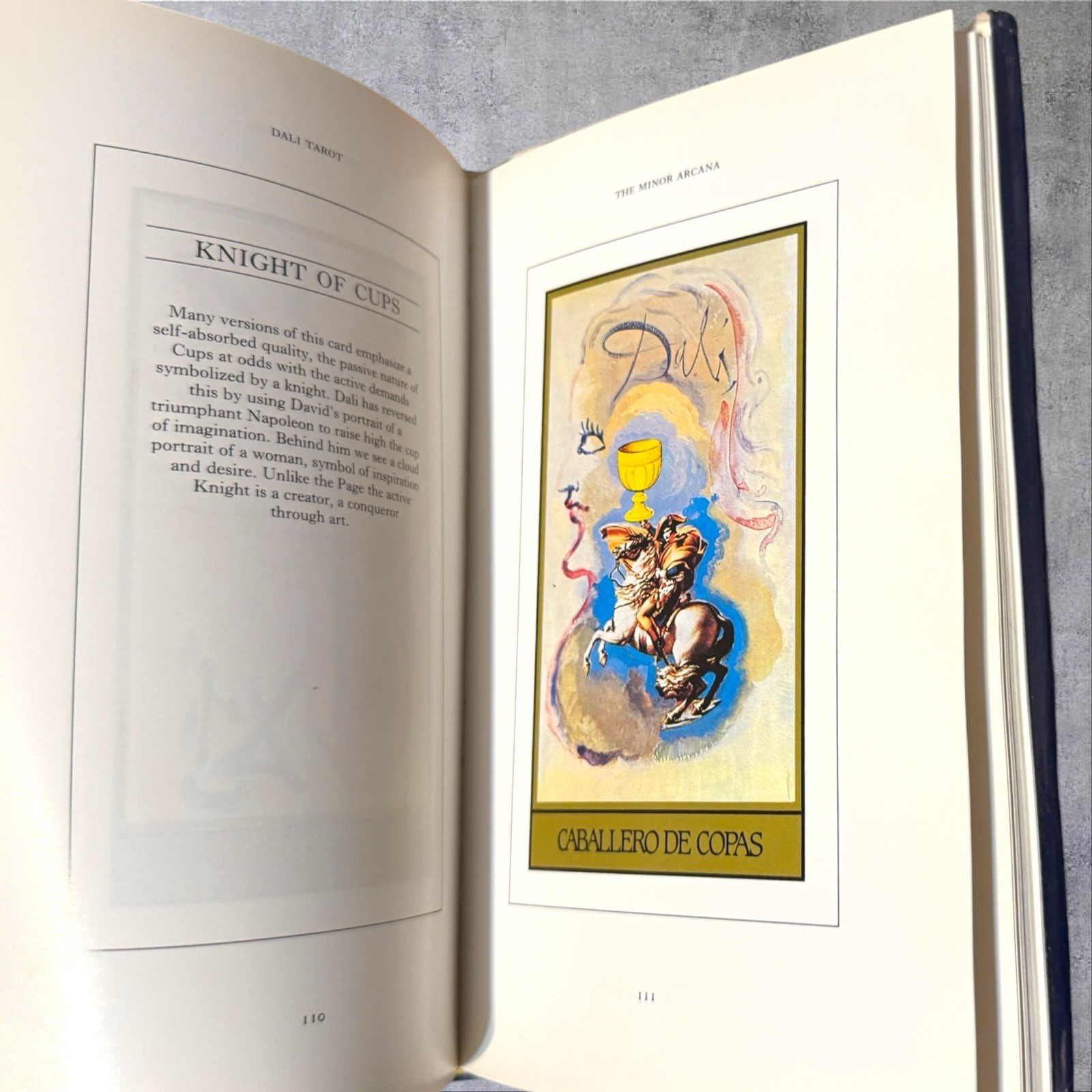 Salvador Dali’s Tarot Rachel Pollack 1985 Salem House Hardcover