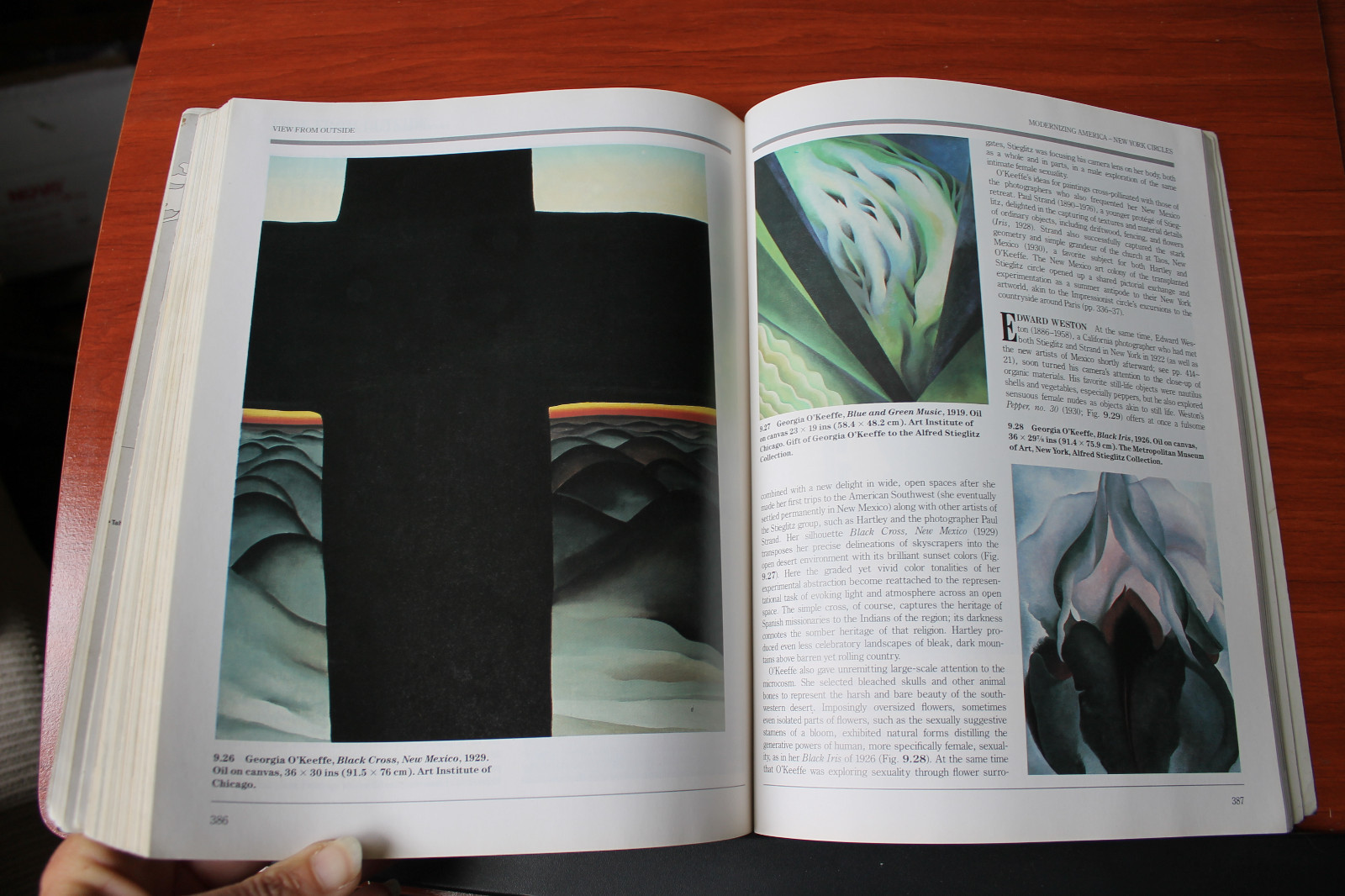 Art in History by Larry Silver 1993 PB – 496 pages of beautiful art pictures