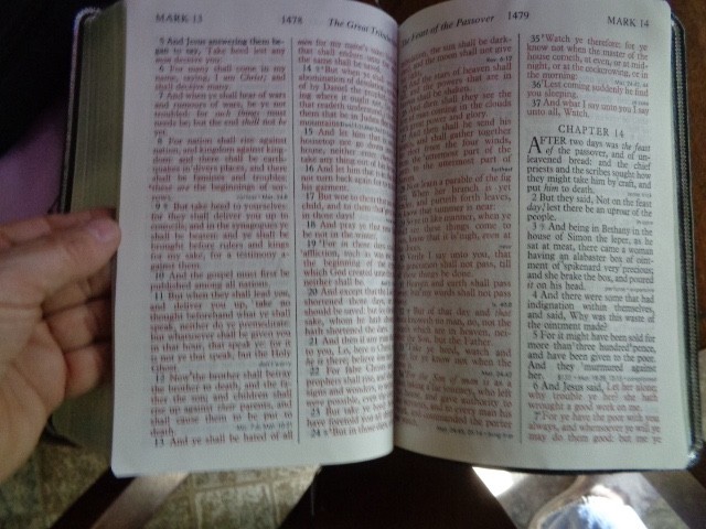 RIVERSIDE gray Genuine Leather Holy Bible KJV Giant Print Living Word WOC in red