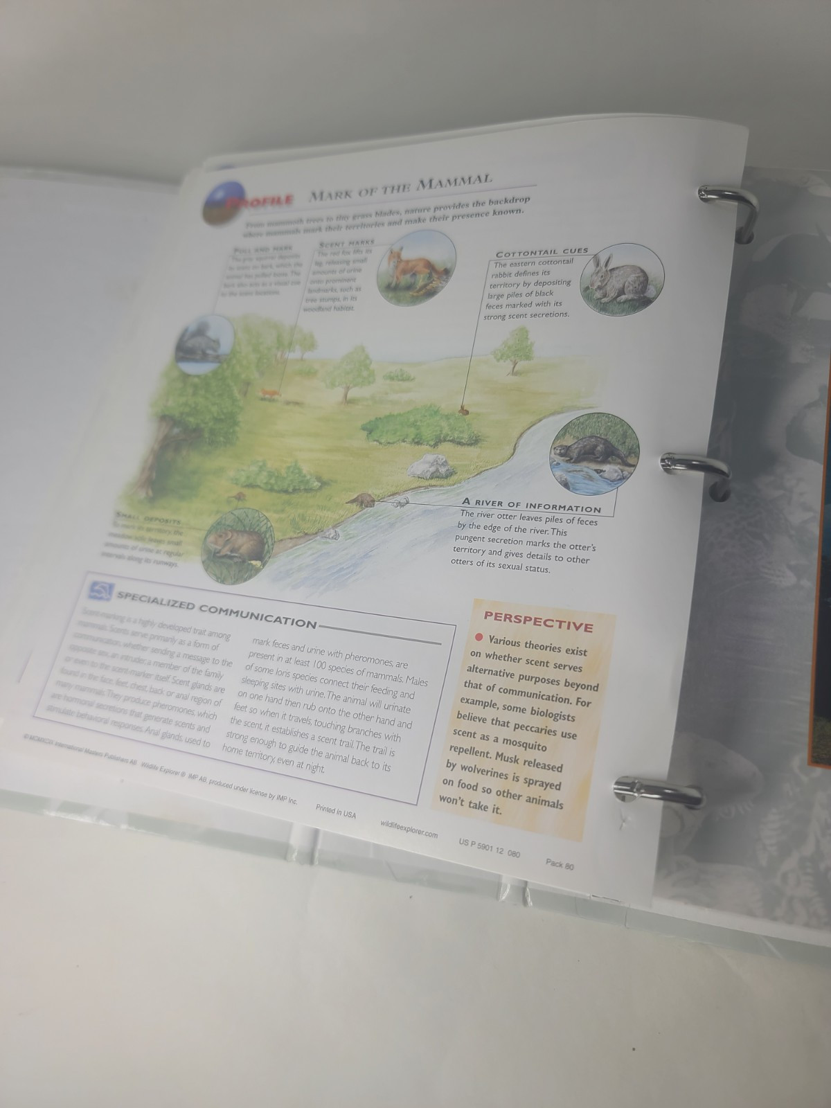 Wildlife Explorer Hard Binder 3 Groups over 254 BiFold Full Color Pages IMP Inc.