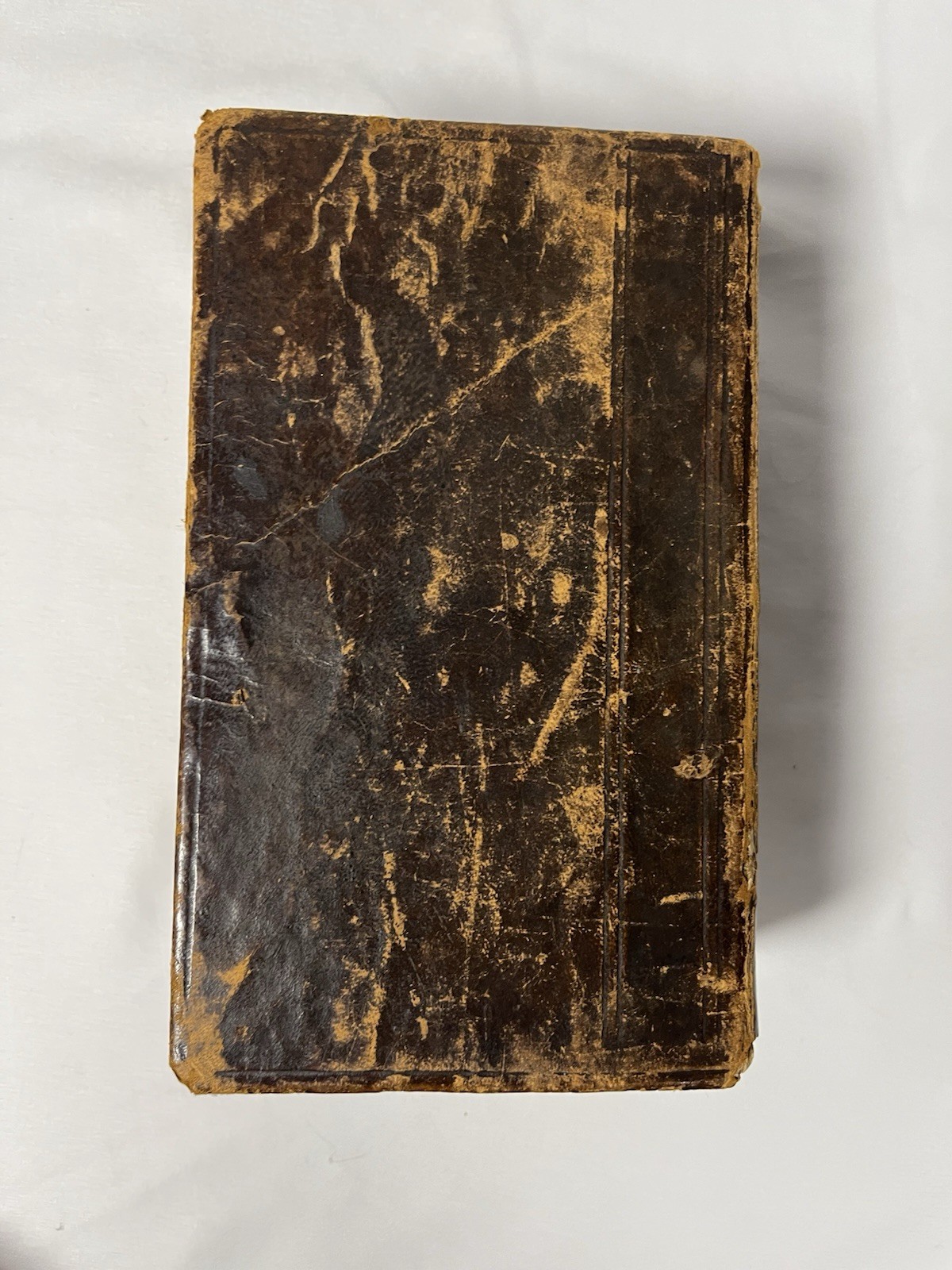 1847 German Luther Bible Die Bibel Heilige Schrift Antique Leather Bound