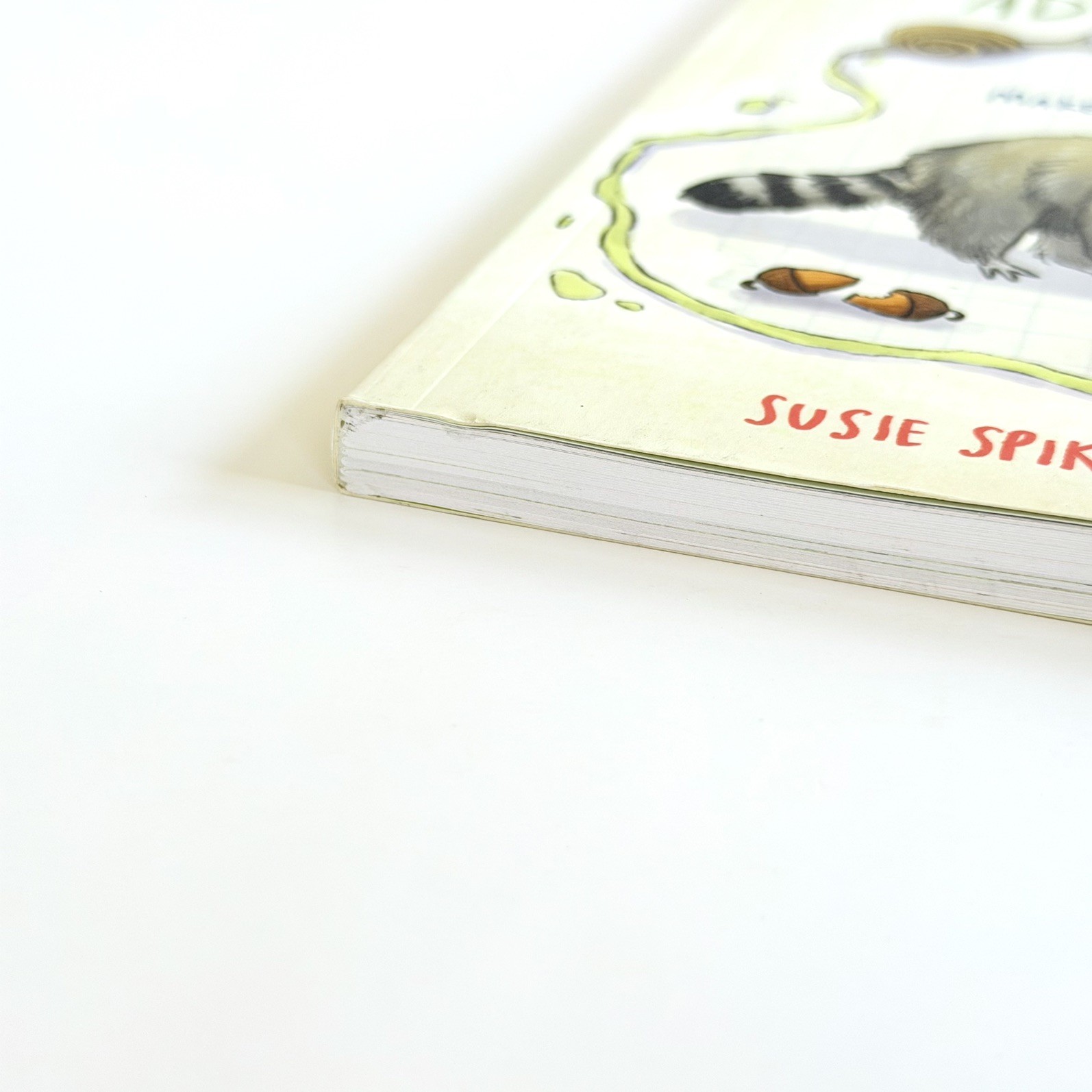 The Animal Adventurers Guide Susie Spikol Kids Activity Paperback Book