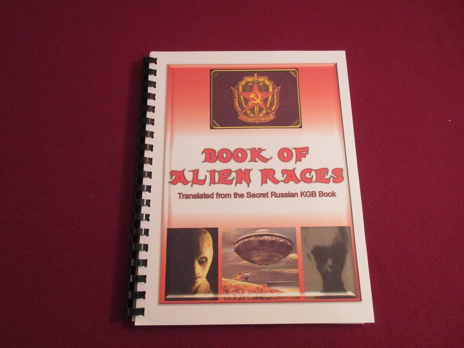 Book Of Alien Races Translated from KGB Secret Russian Book w/Pictures