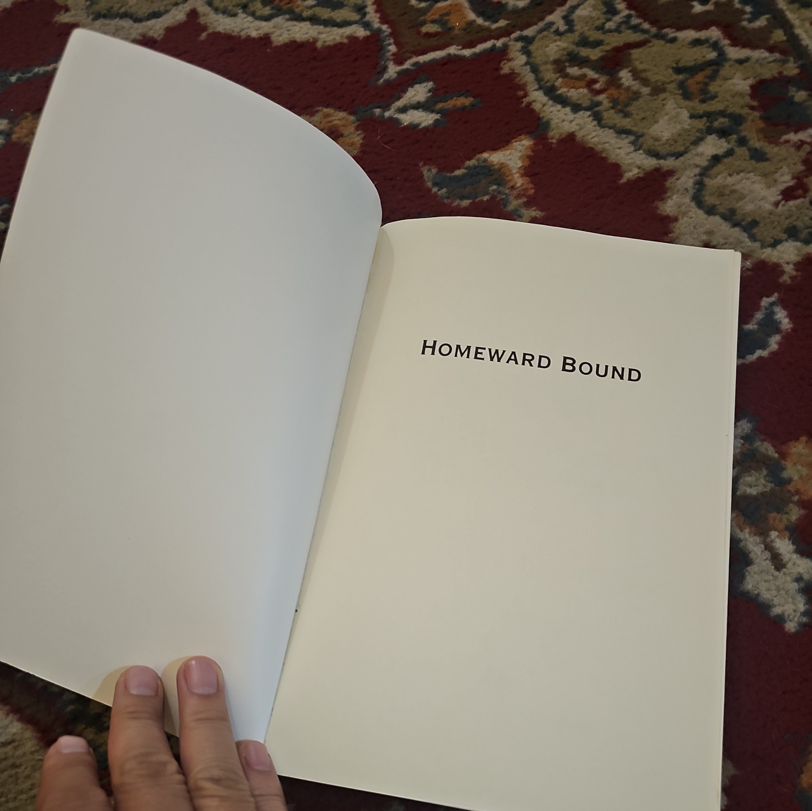 Homeward Bound : American Families in the Cold War Era by Elaine Tyler May…