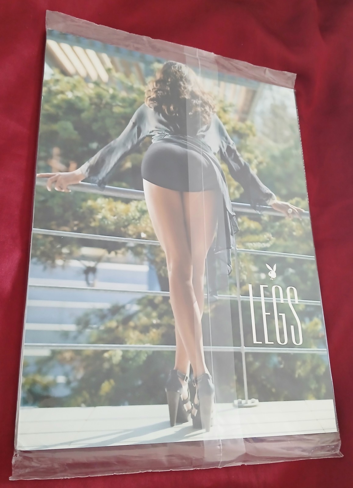 Playboy LEGS Special Collectors Edition March 2015 New Factory Sealed Free Ship