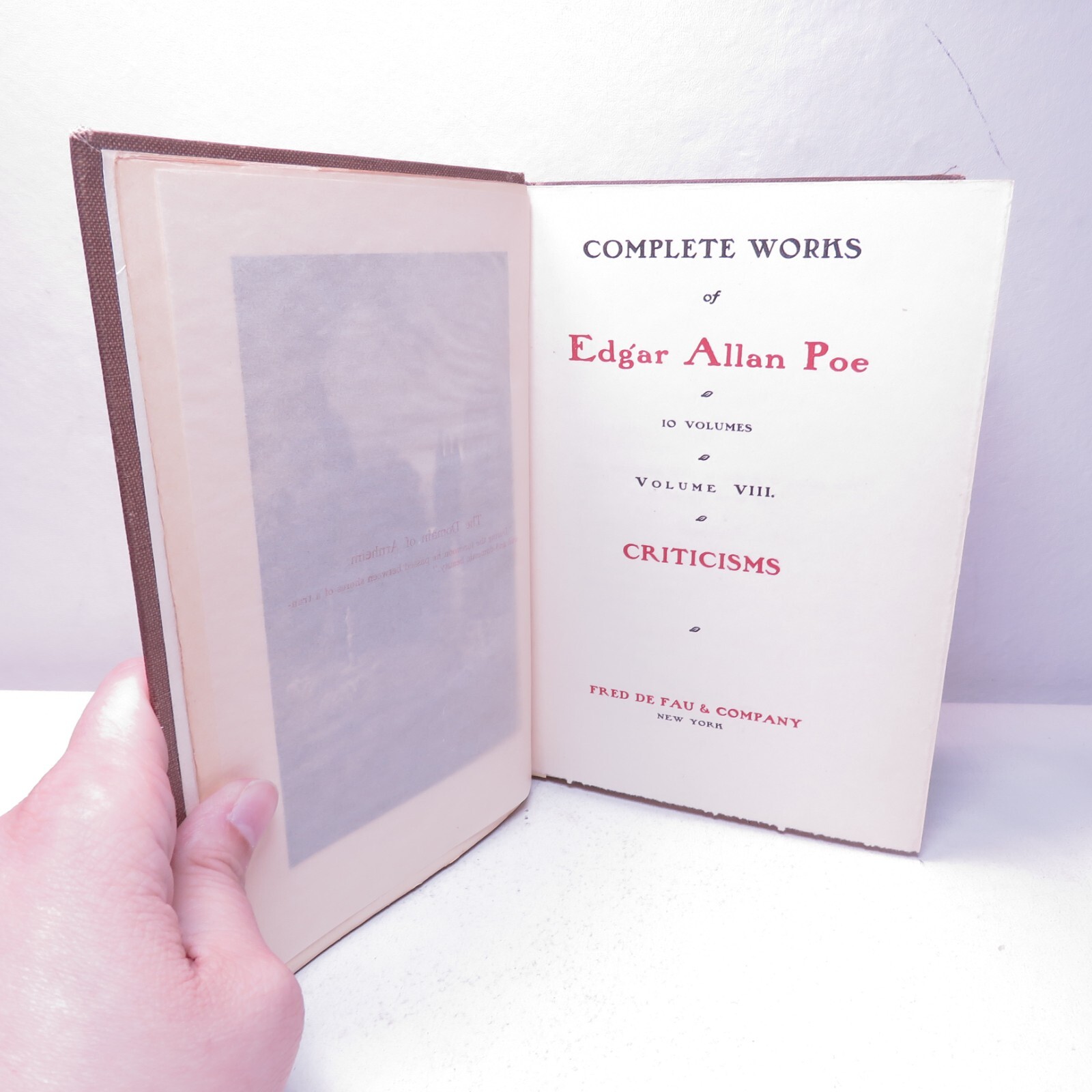 1902 COMPLETE WORKS OF EDGAR ALLAN POE VOLUME VIII Only