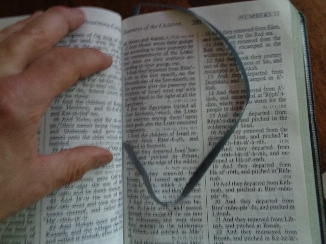 RIVERSIDE gray Genuine Leather Holy Bible KJV Giant Print Living Word WOC in red