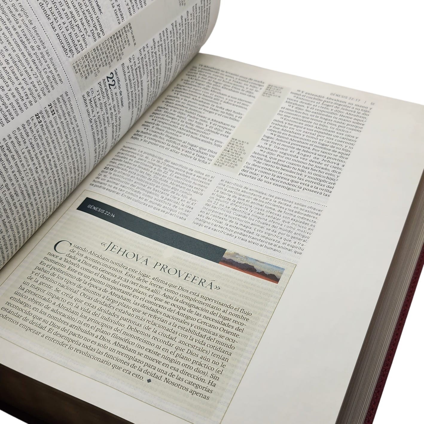 Biblia de estudio trasfondo cultural RVR (El contexto lo cambia todo)