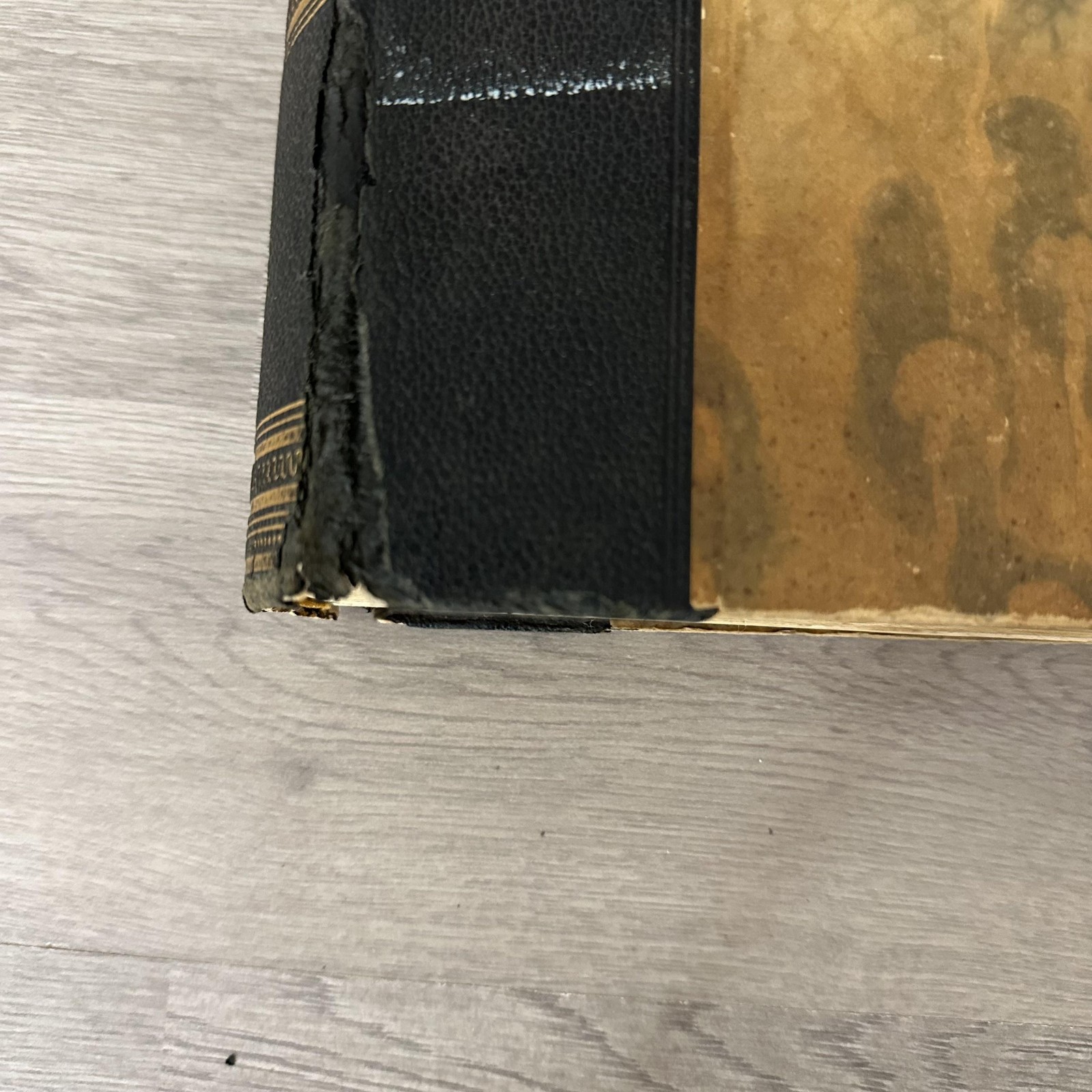 Vintage Die Weltkriegsspionage Hardcover 1921 Germany WWI Espionage Illustrated