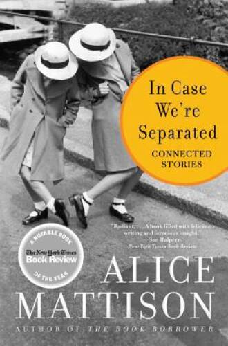 In Case We’re Separated: Connected Stories – Paperback By Mattison, Alice – GOOD