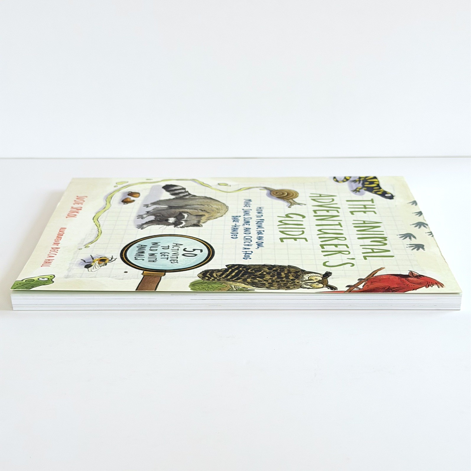 The Animal Adventurers Guide Susie Spikol Kids Activity Paperback Book