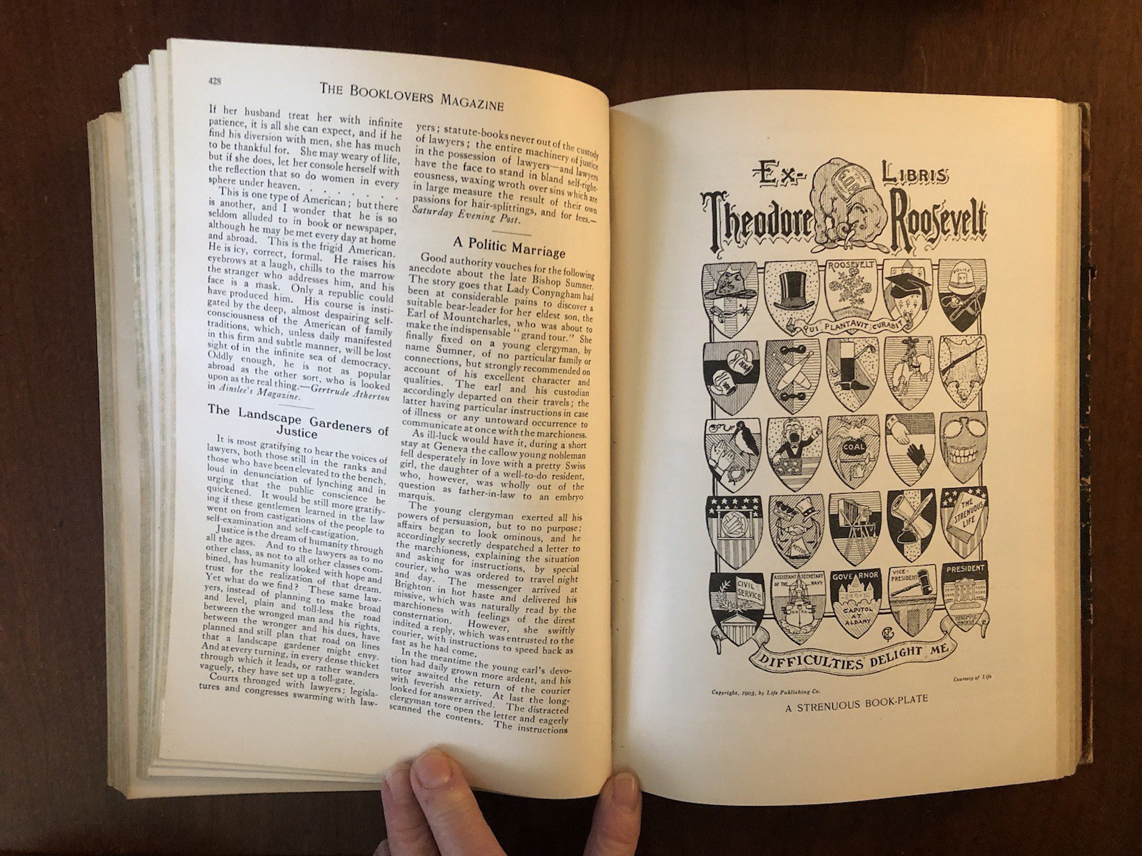 BOOKLOVERS MAGAZINE 1903 bound volumes 1 & 2 *Fragile Vintage Cond-see photos*