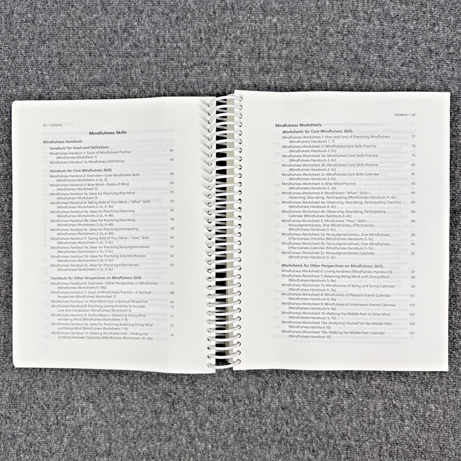 DBT Skills Training Handouts and Worksheets by Marsha M. Linehan, Like New
