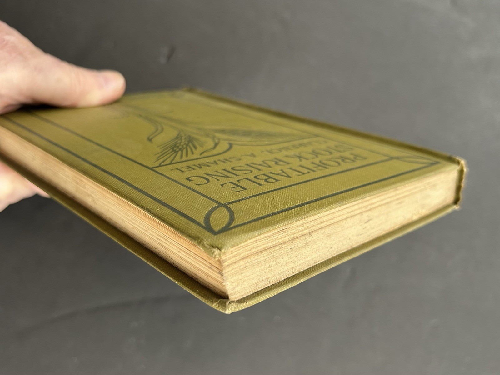 1911 Profitable Stock Raising by Clarence A Shamel Farm Life Series HB Illust