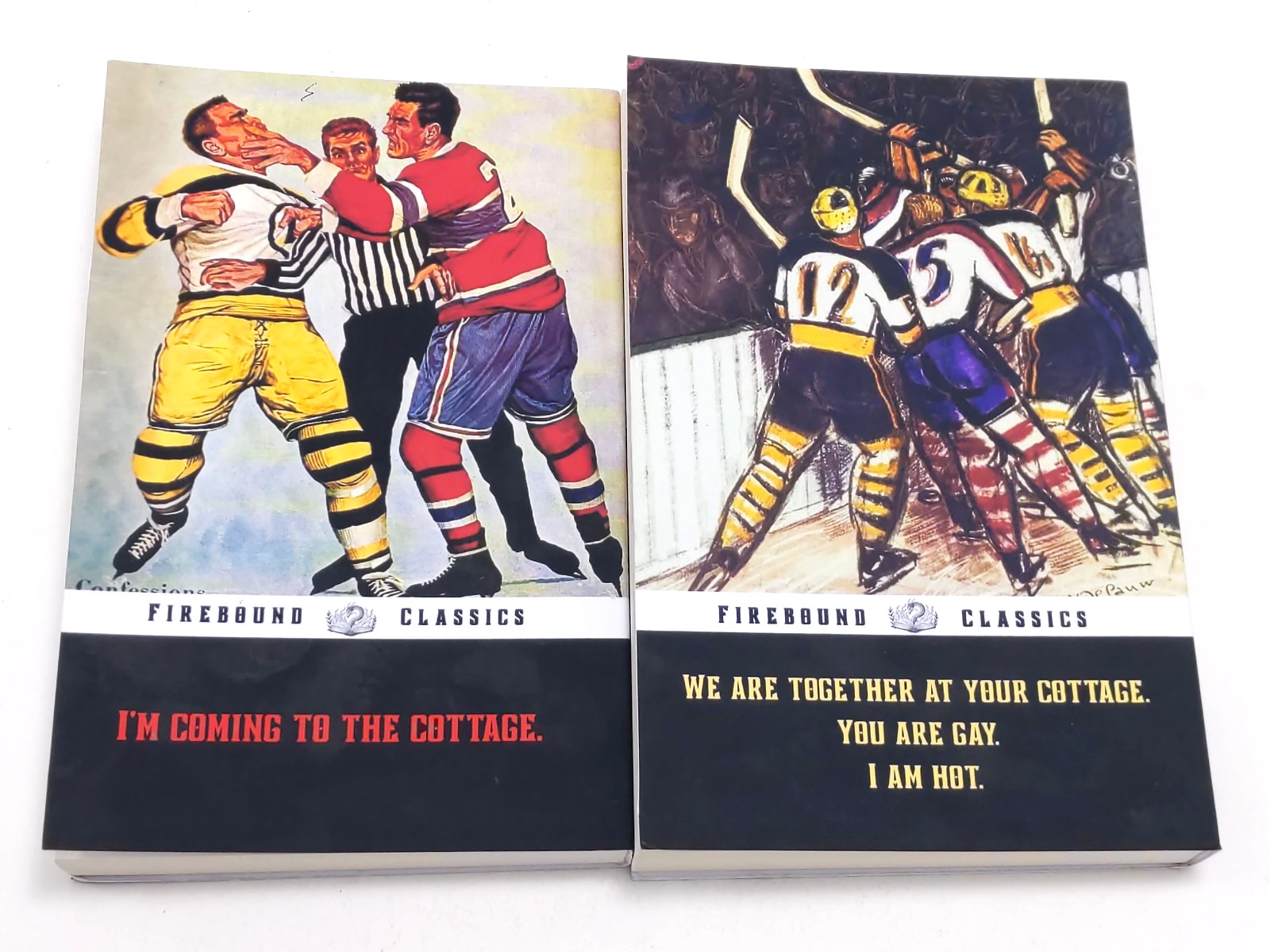Heated Rivalry & The Long Game by Rachel Reid Firebound Classics Books Rebind
