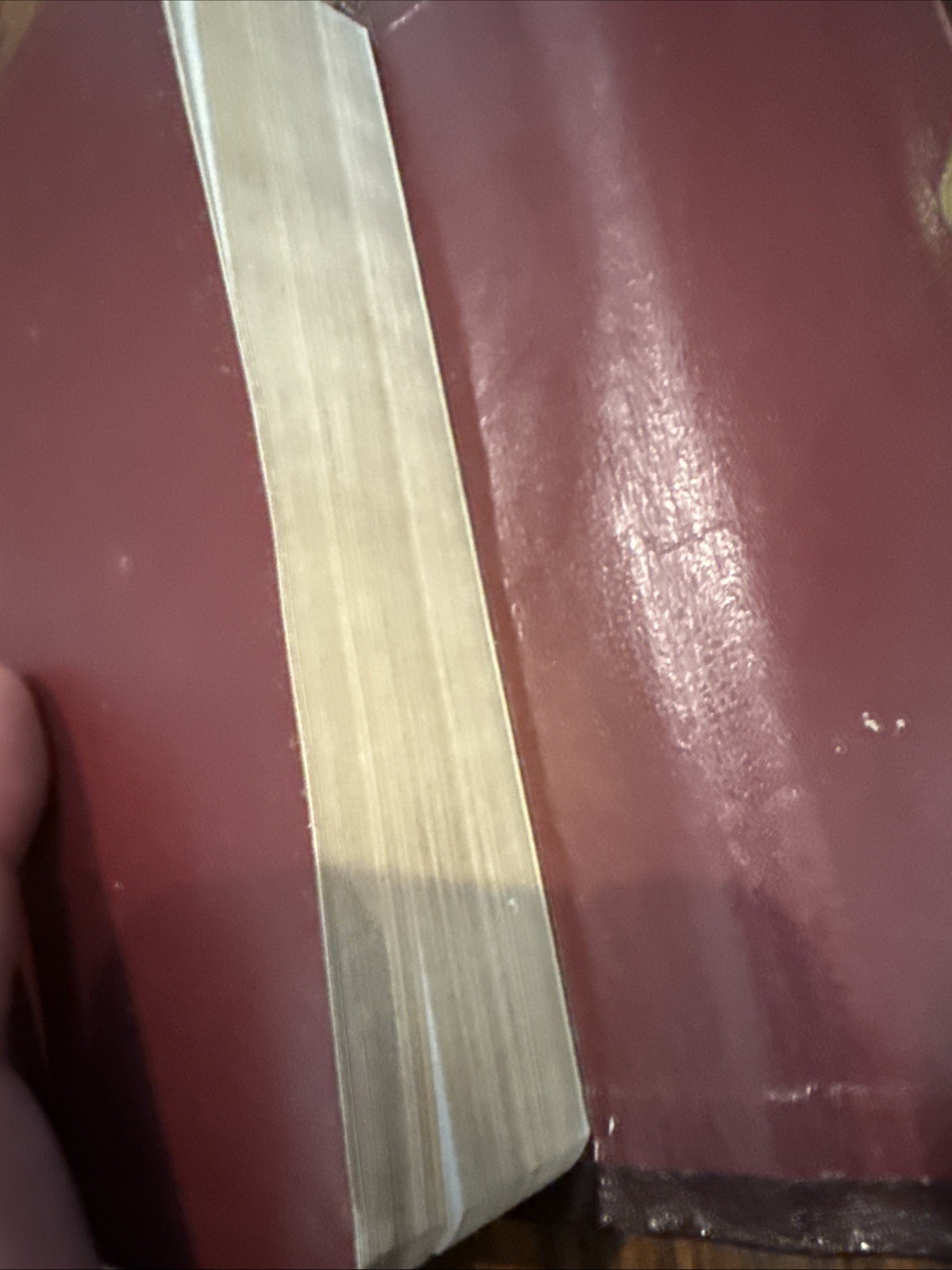 NIV Compact Reference Bible 1988 Burgundy Bonded Leather Snap-Flap