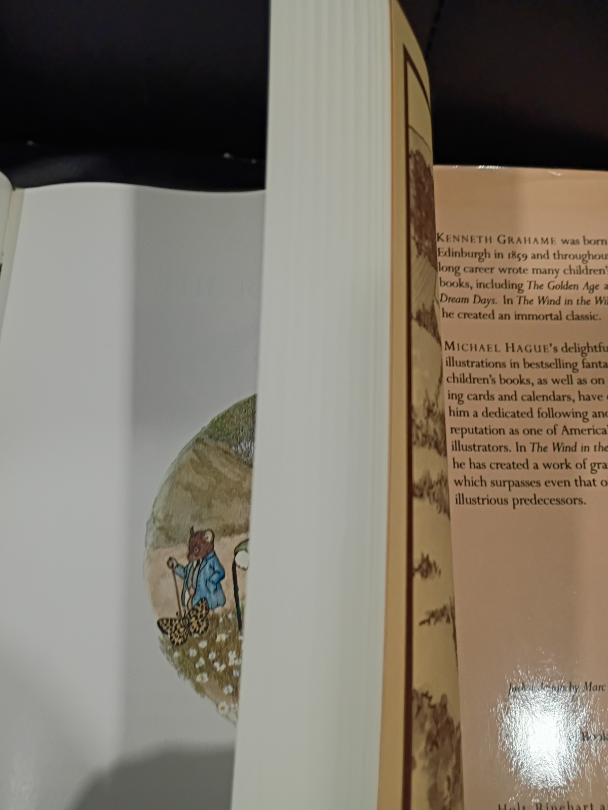 1980 The Wind in the Willows 1st Ed w/ Dust Jacket Kenneth Grahame Michael Hague
