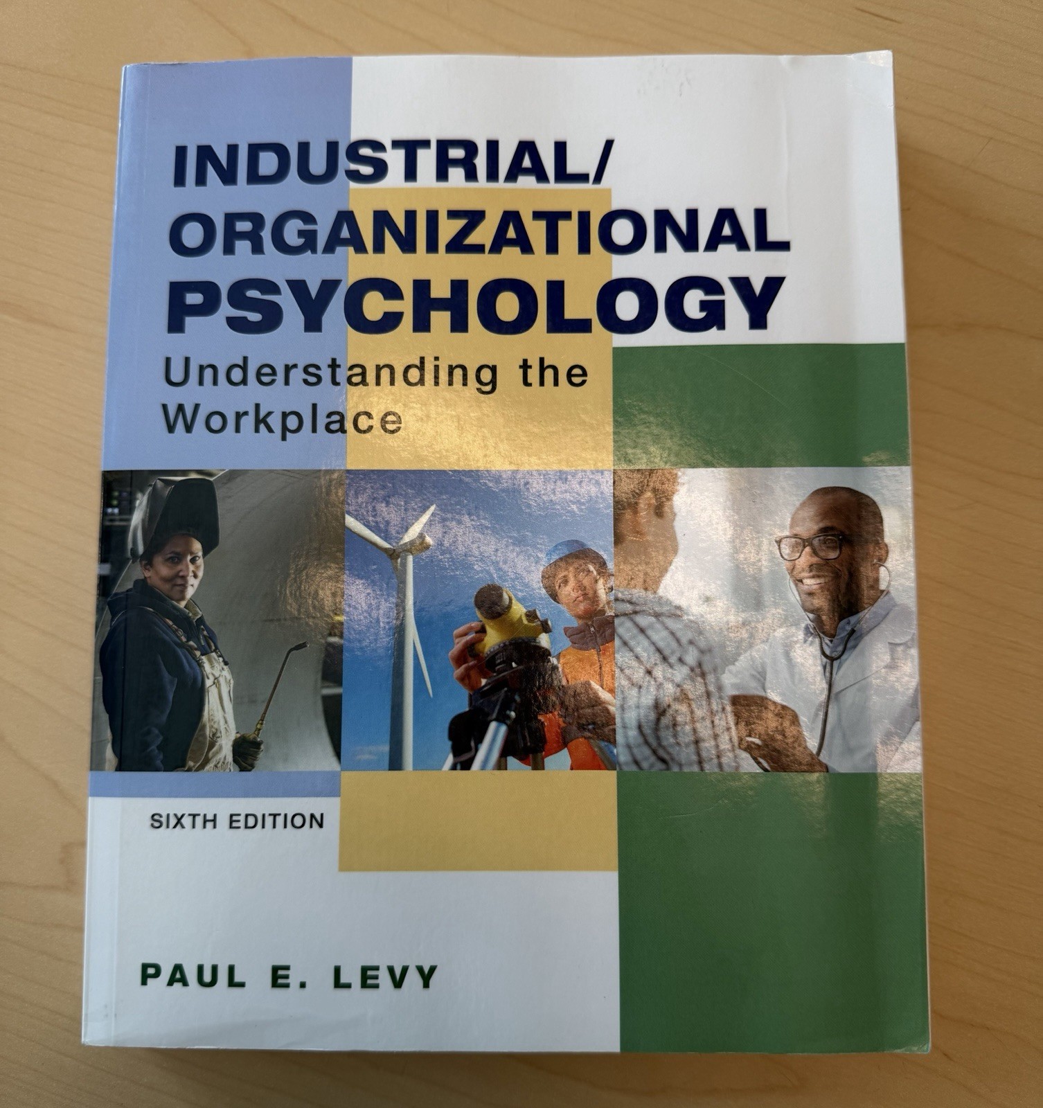 Industrial/Organizational Psychology: – Paperback, by Levy Paul – Like New