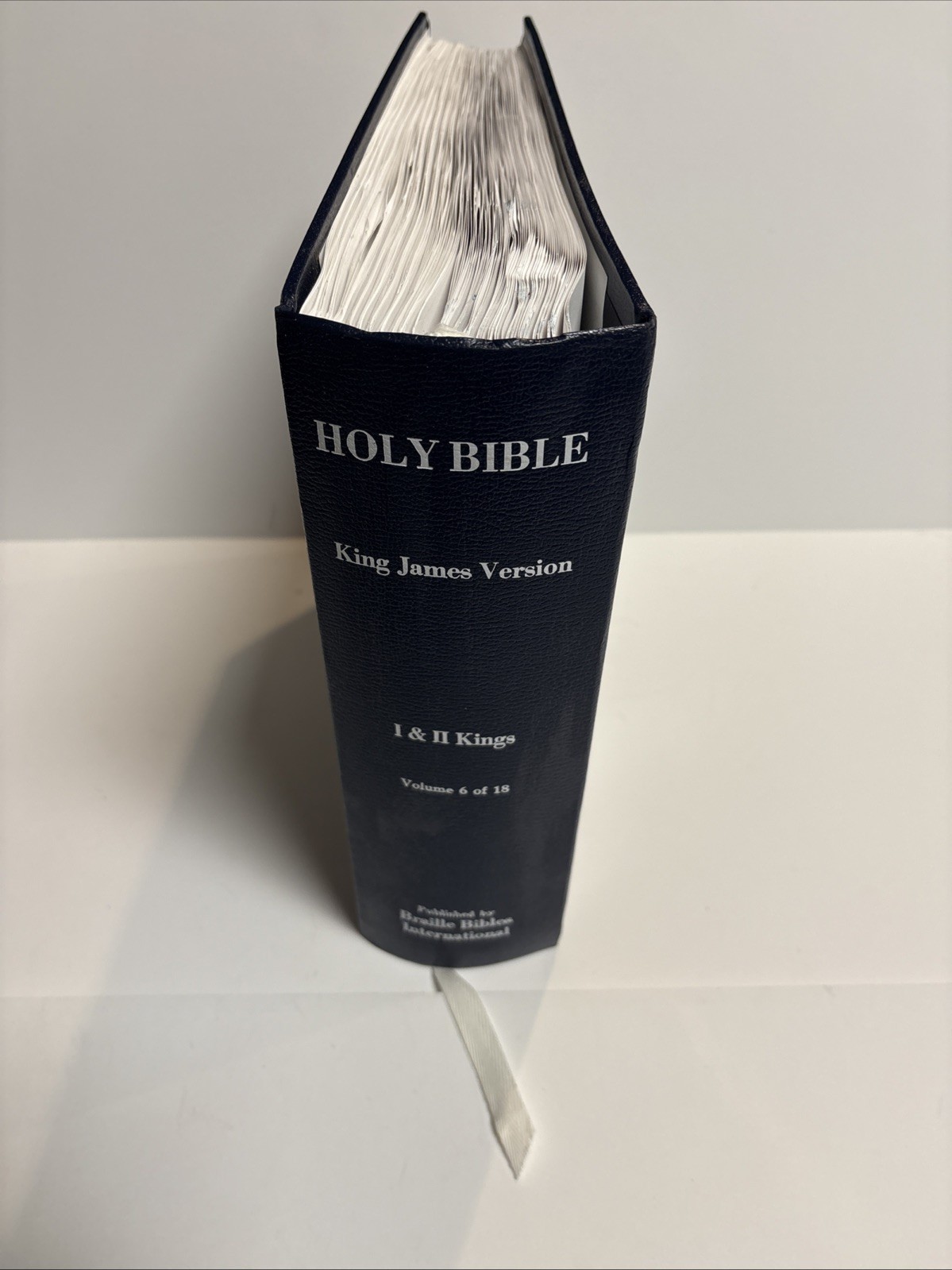 Braille Holy Bible – King James Version- Vol 6 1 & 2nd Kings
