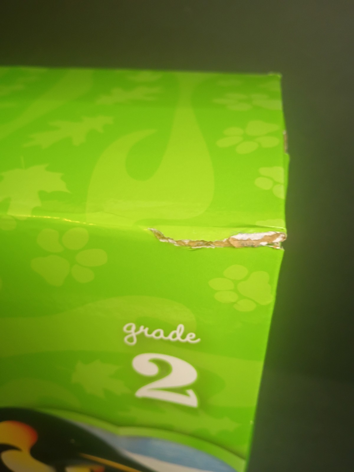 Reading Mastery Reading/Literature Strand Grade 2, Teacher Materials BOX SET