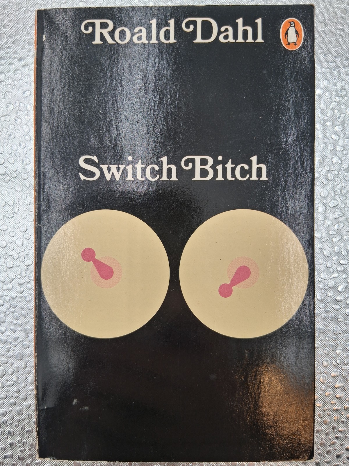 Switch Bitch By Roald Dahl Penguin Paperback