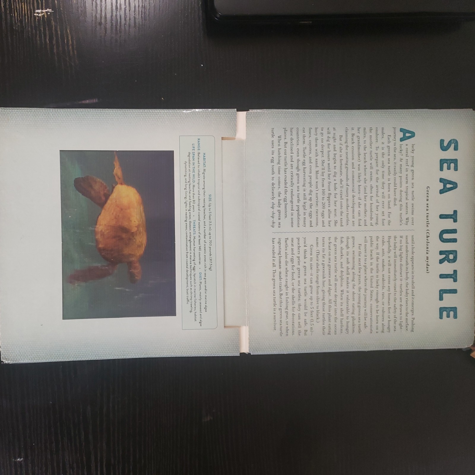 Ocean : A Photicular Book by Carol Kaufmann and Dan Kainen (2014, Hardcover)