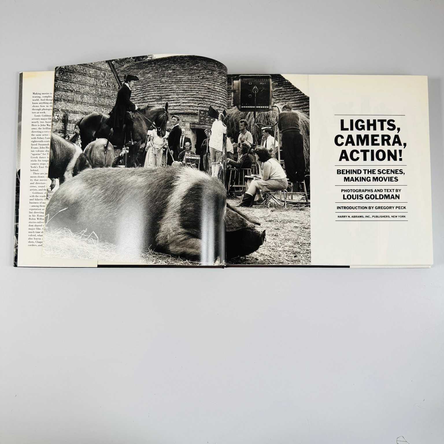 Lights, Camera, Action! Louis Goldman 1986 Illustrated Film Photography Abrams