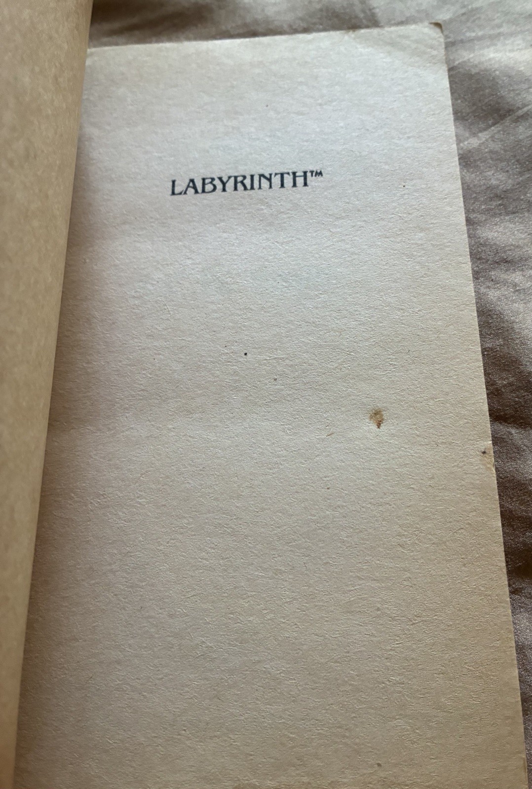 Labyrinth by ACH Smith 1st Edition Paperback Book Novel Based On Jim Henson Film