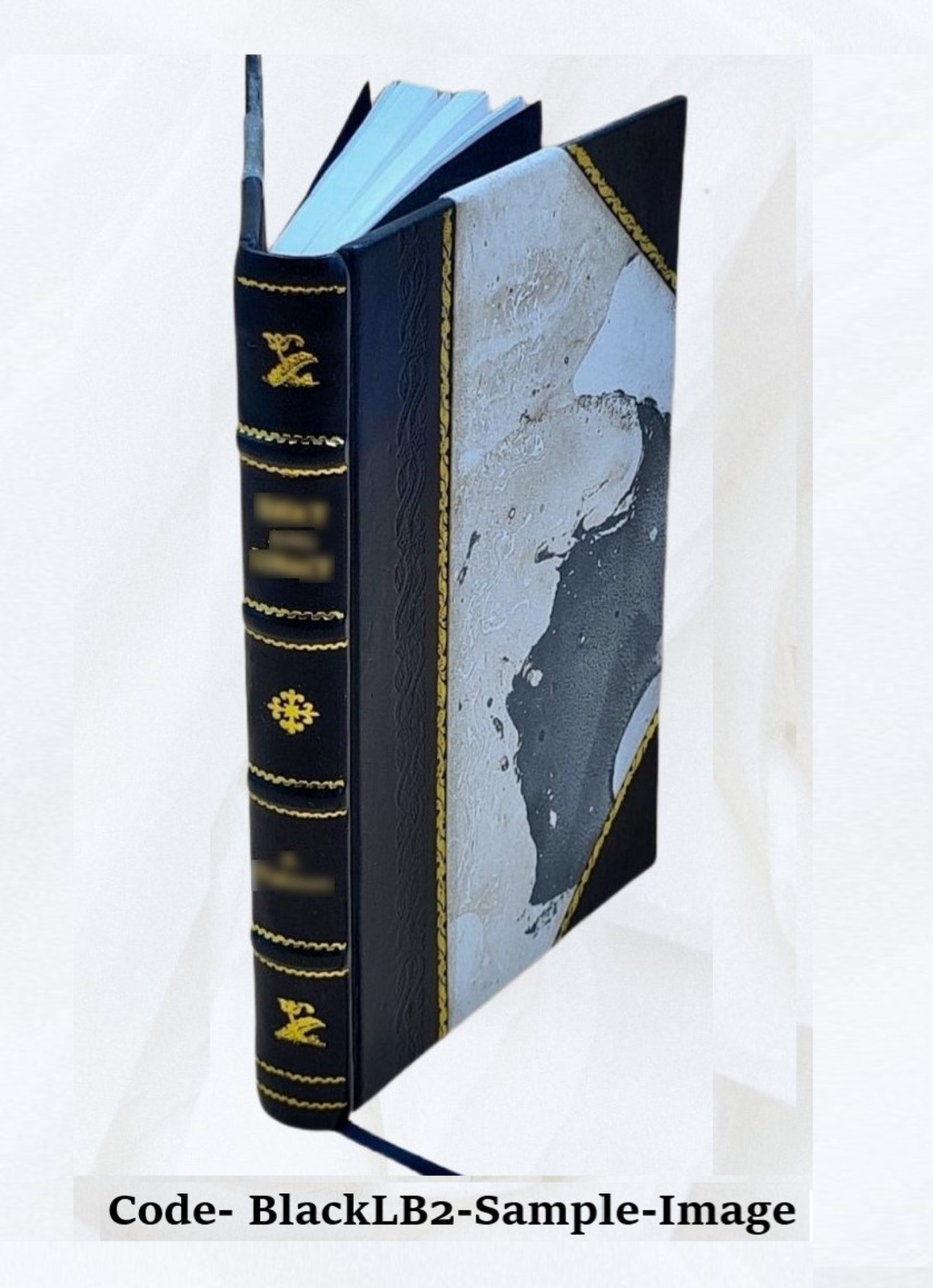 The Consistency Of The Whole Scheme Of Revelation With Itself An [Leather Bound]