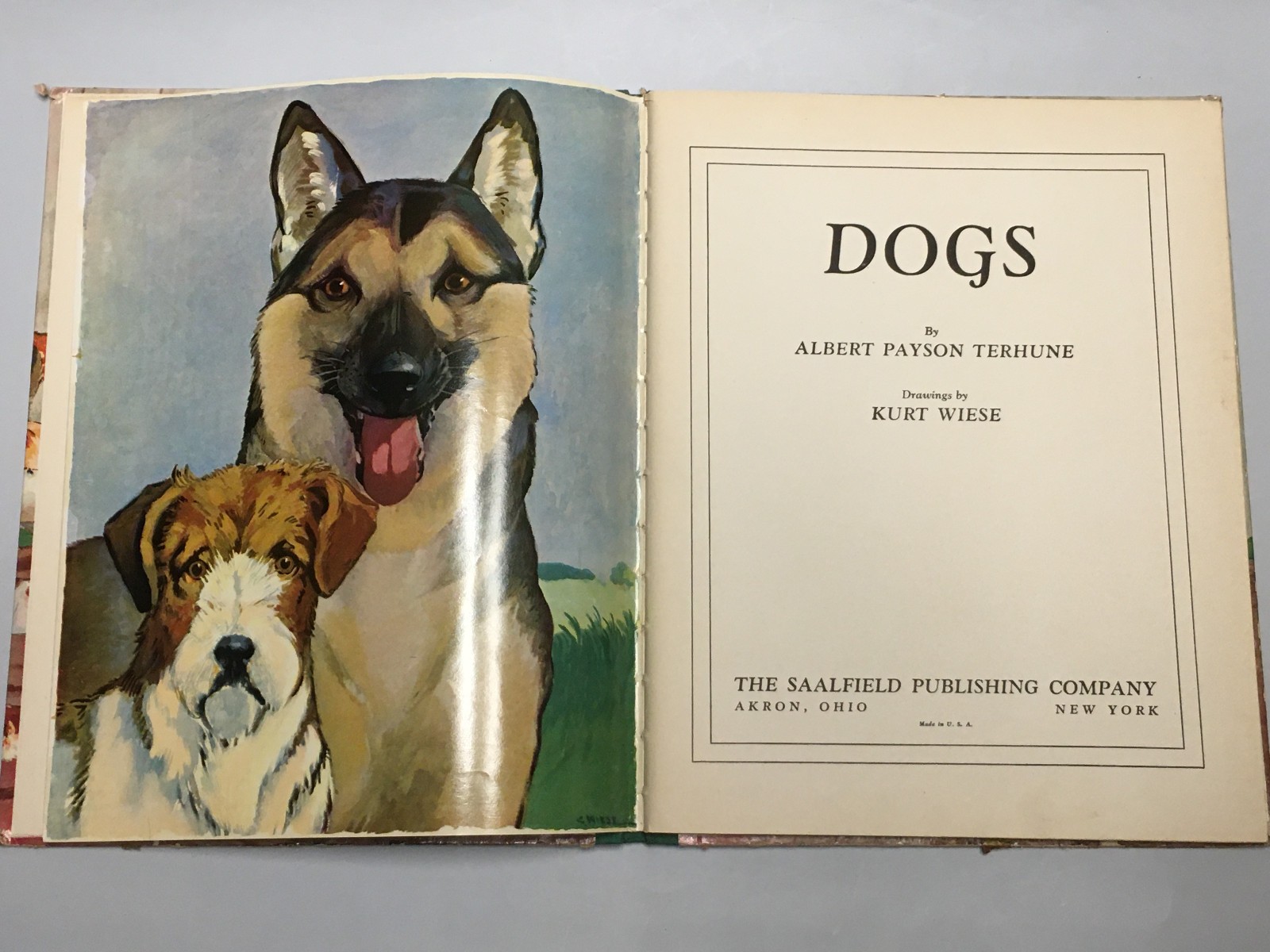 Dogs by Albert Payson Terhune & Kurt Wiese – 62 Pages Saalfield Publishing 1940