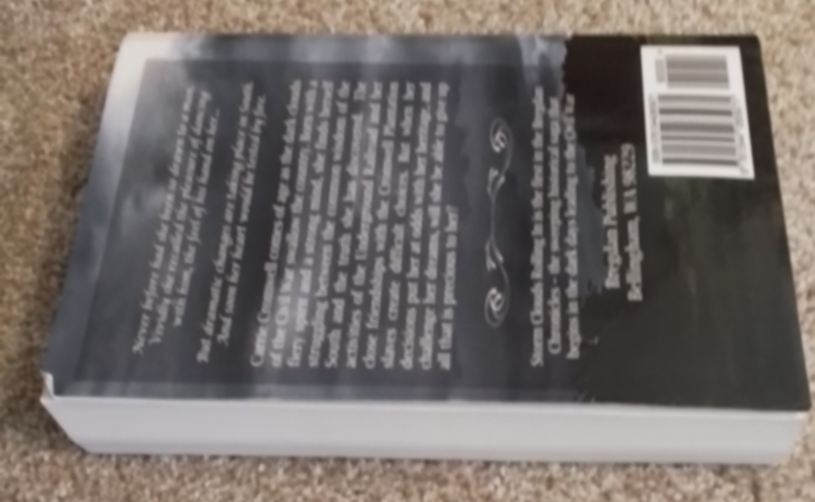 Storm Clouds Rolling In by Ginny Dye (2015, Trade Paperback, Bregdan Chronicles)