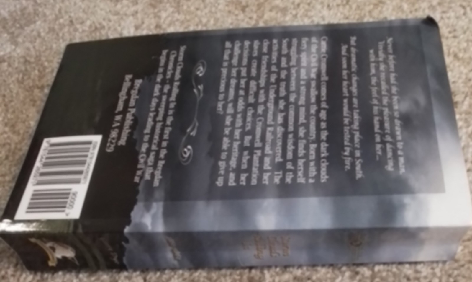 Storm Clouds Rolling In by Ginny Dye (2015, Trade Paperback, Bregdan Chronicles)