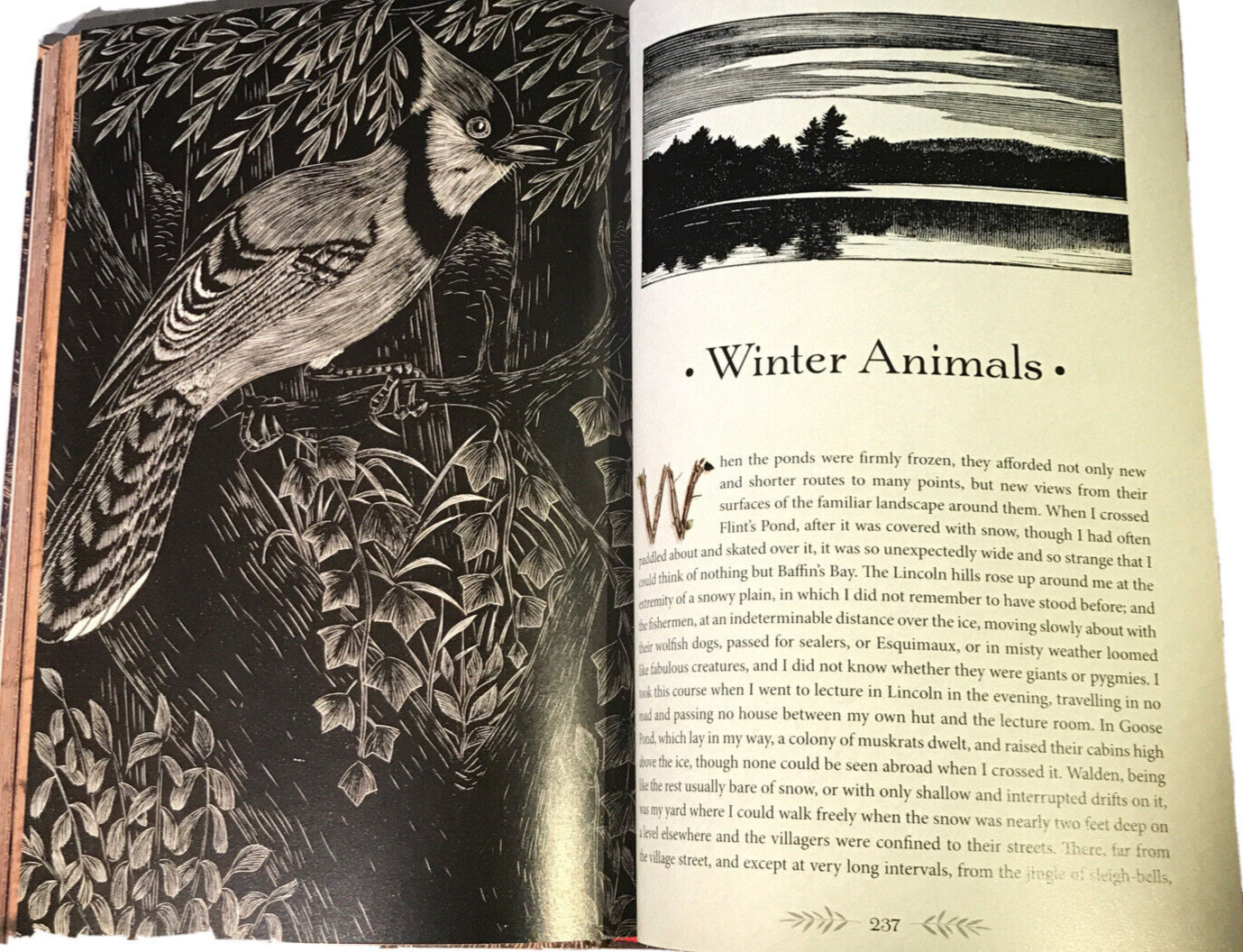 ❤️THE ILLUSTRATED WALDEN or LIIFE IN THE WOODS Henry David Thoreau NEW Hardcover