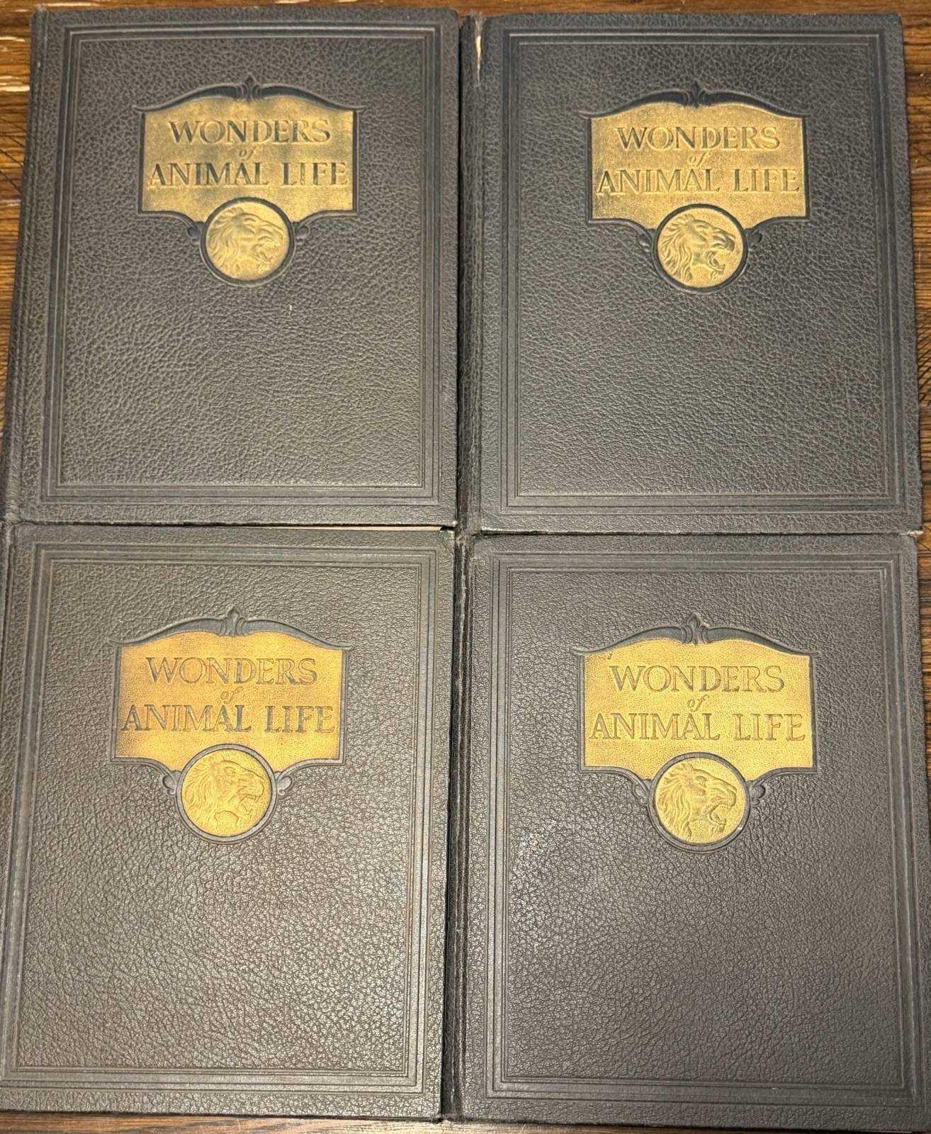 Wonders of Animal Life Volumes 1-4 J A Hammerton HC Waverley Natural History