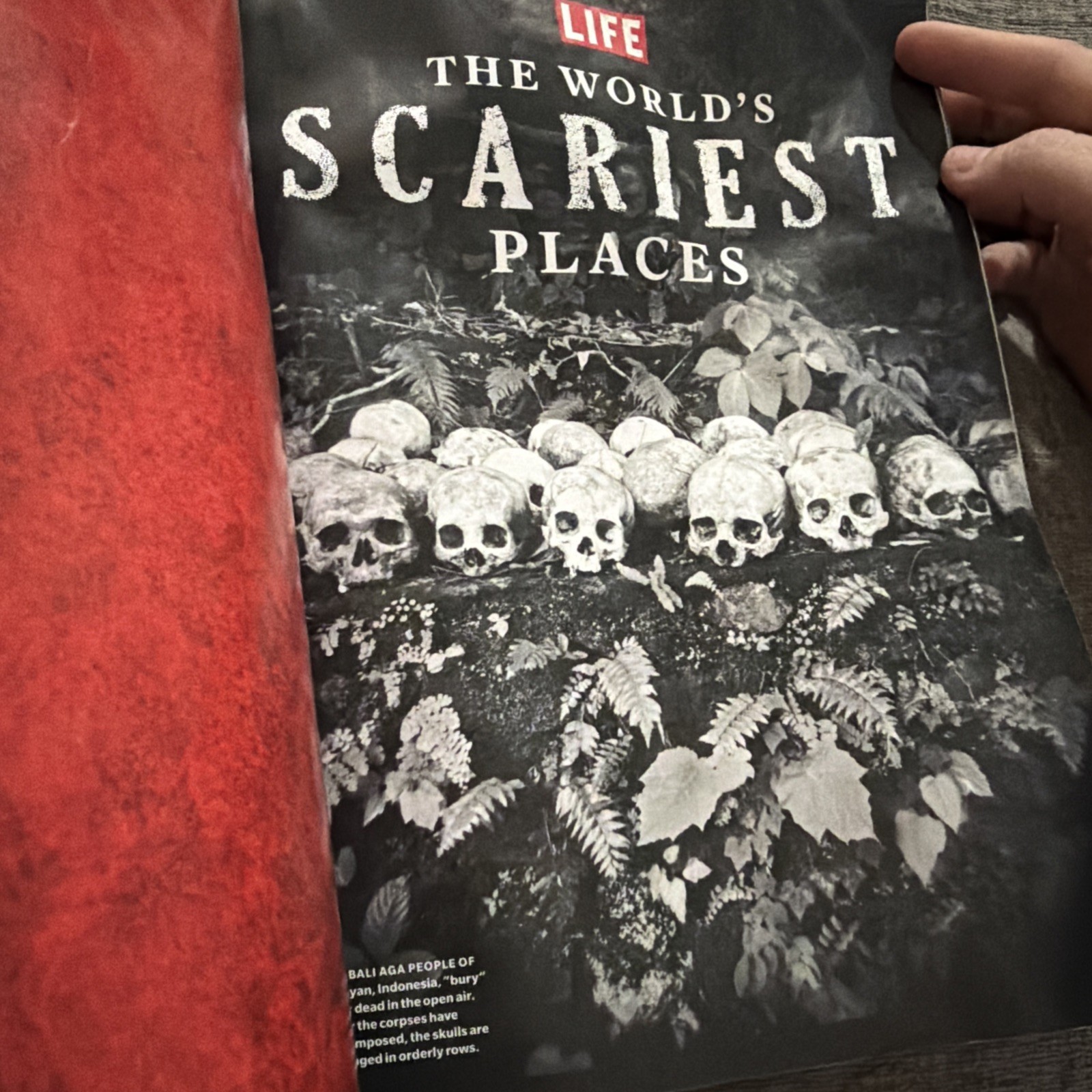 THE WORLD’S SCARIEST PLACES LIFE MAGAZINE ISSUE 2024 BHG SPECIALS