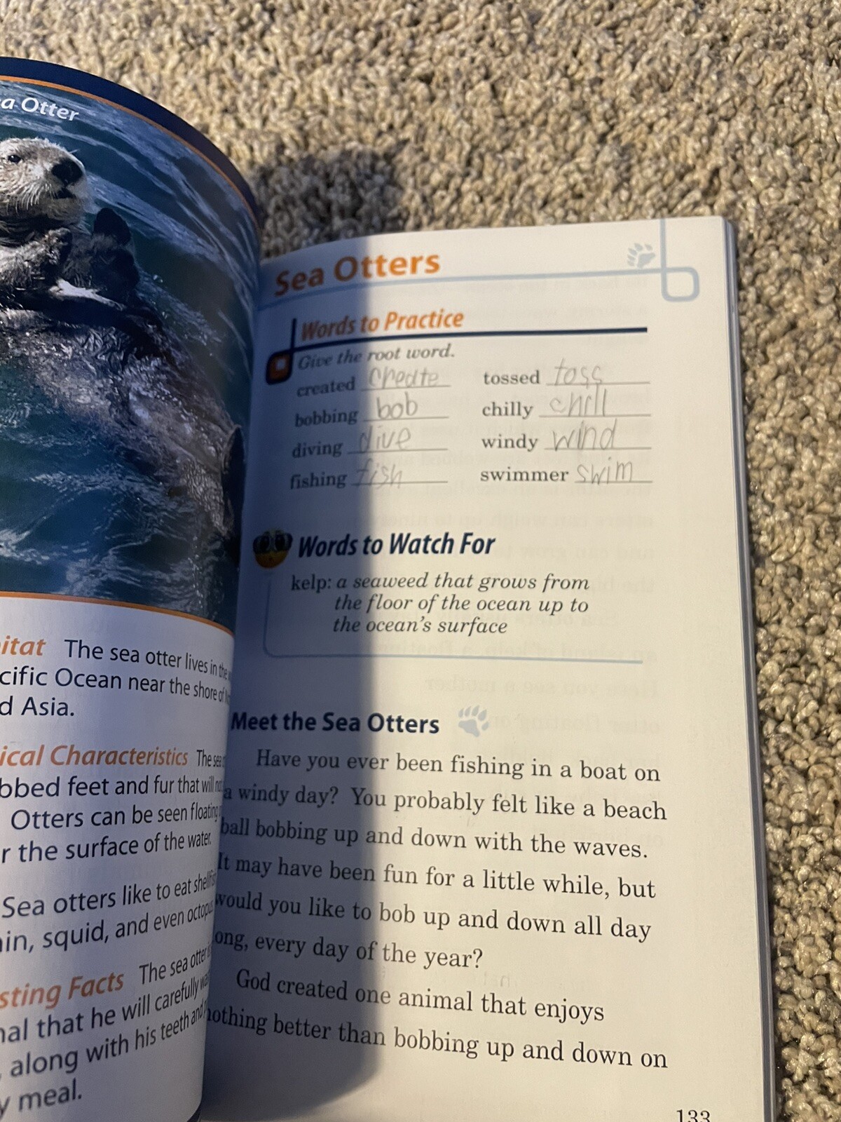 A Beka Book: Lot of 15 homeschool TPB Reading Program, Teachers Edition… ABEKA