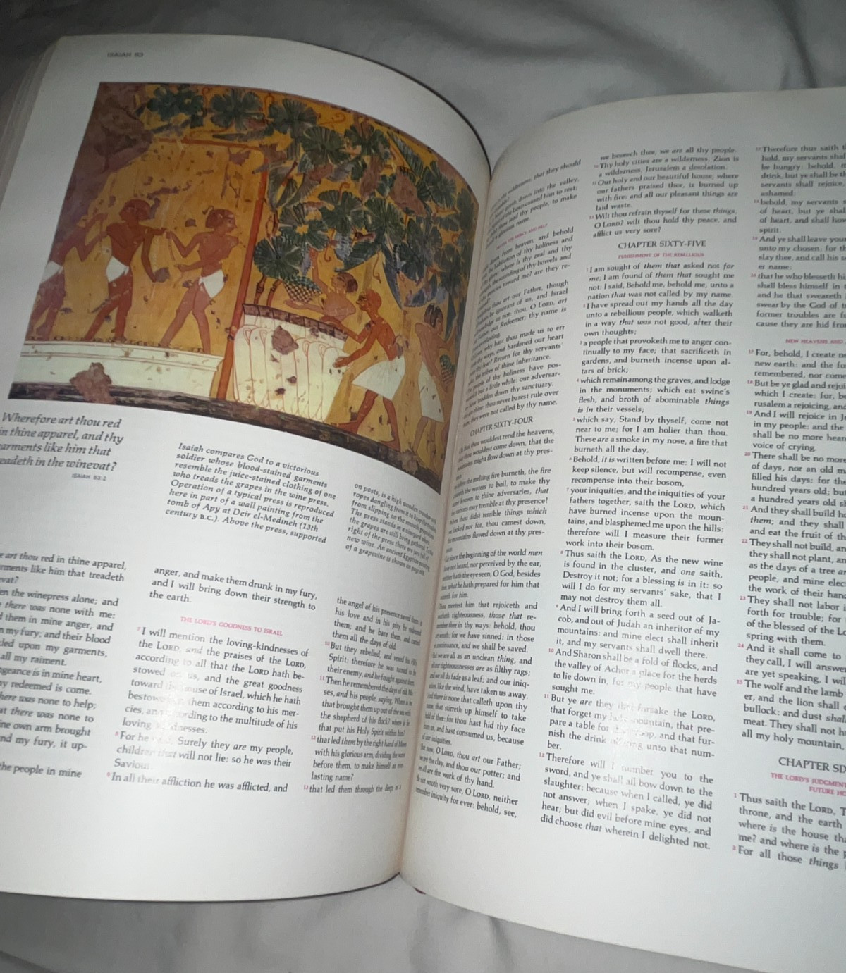 The Holy Bible King James Version 1611 Reader’s Digest 1971 Large Illustrated
