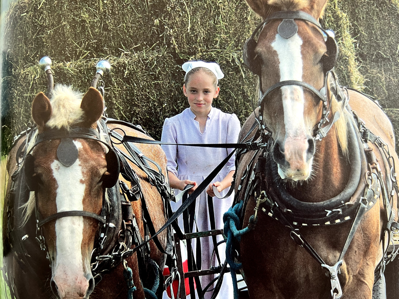 Amish Life : Living Plainly and Serving God Hardcover — Darryl D. Jones