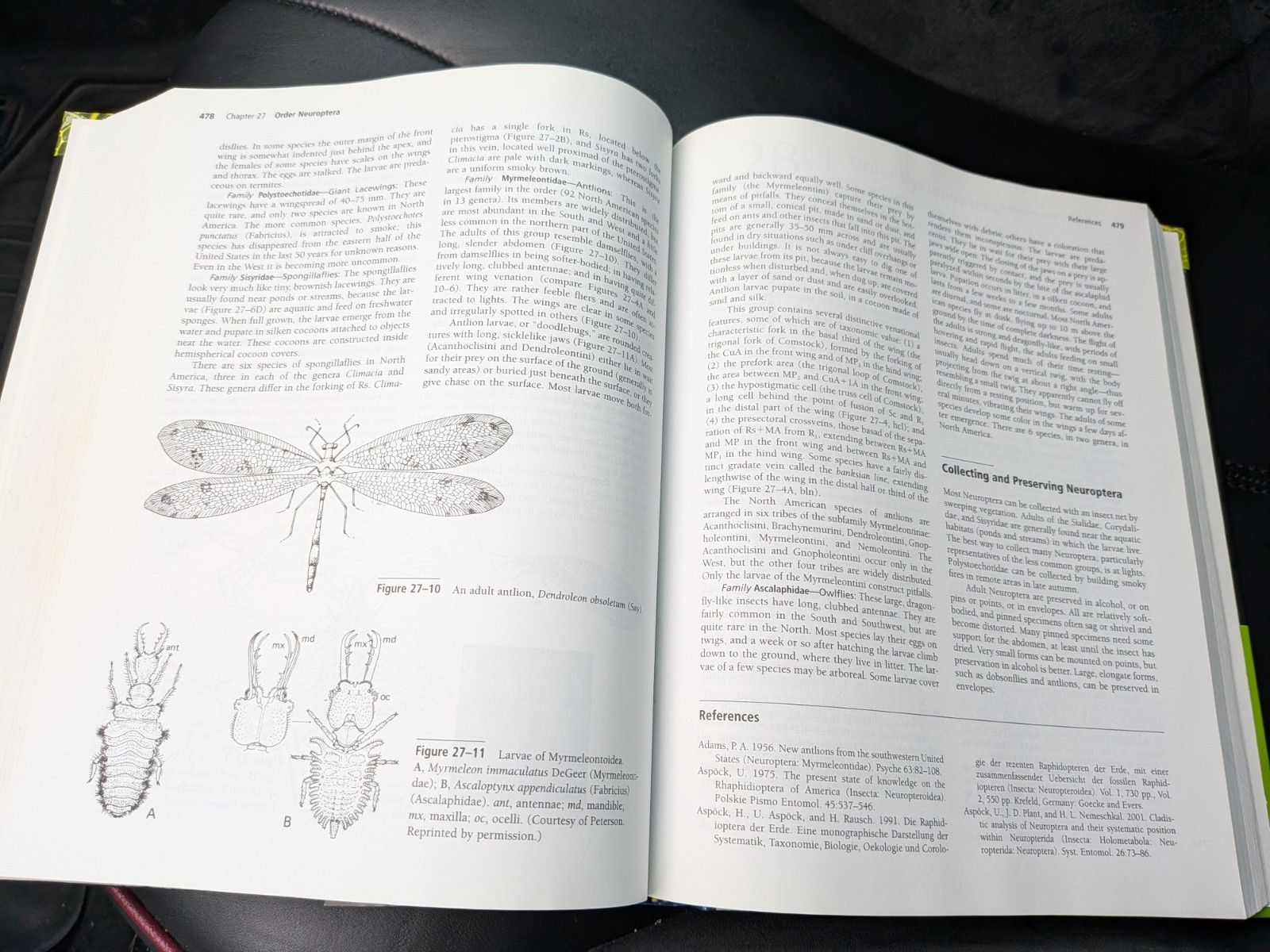 Borror and Delong’s Introduction to the Study of Insects by Norman F. Johnson…