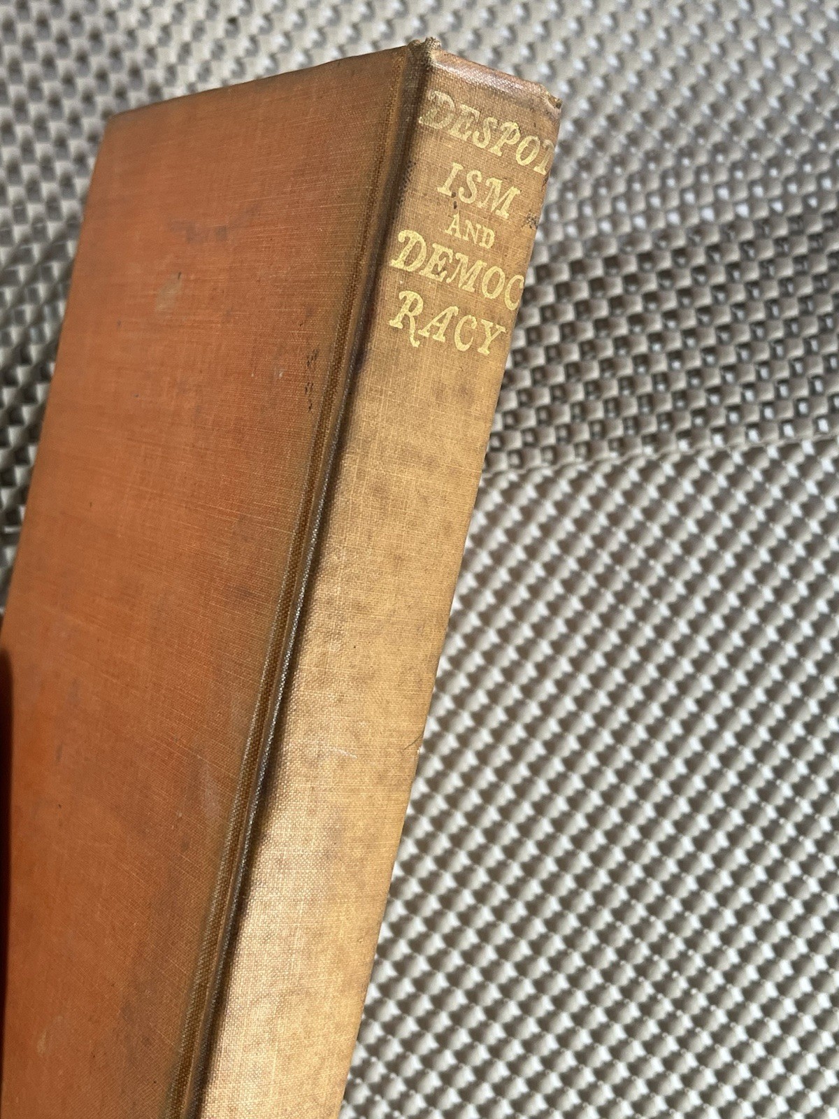 1903 Despotism and Democracy ~ Washington Politics ~ Art Nouveau Gilt Cover HC