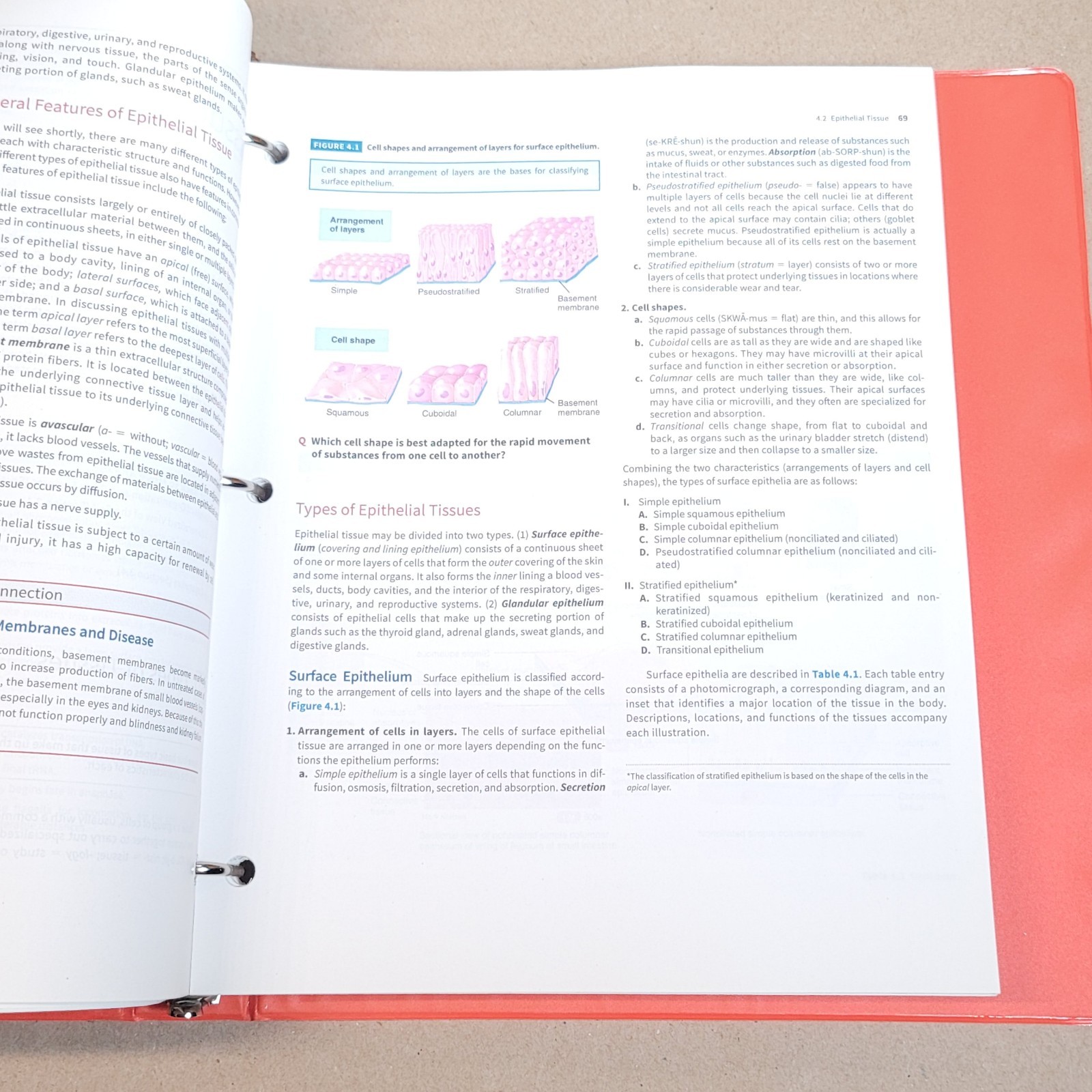 Introduction to the Human Body by Gerard J. Tortora LOOSE LEAF EDITION