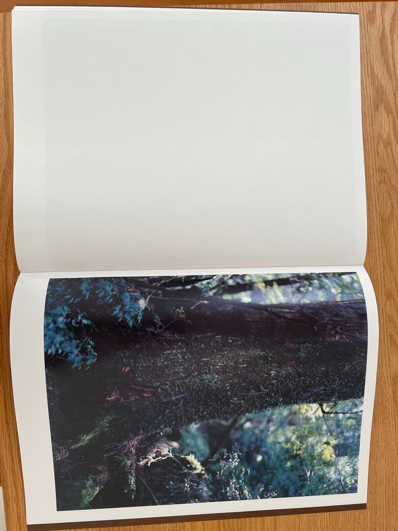 Materia Yoshihiko Ueda 2012 Japanese Photography Book Yakushima Landscape Forest
